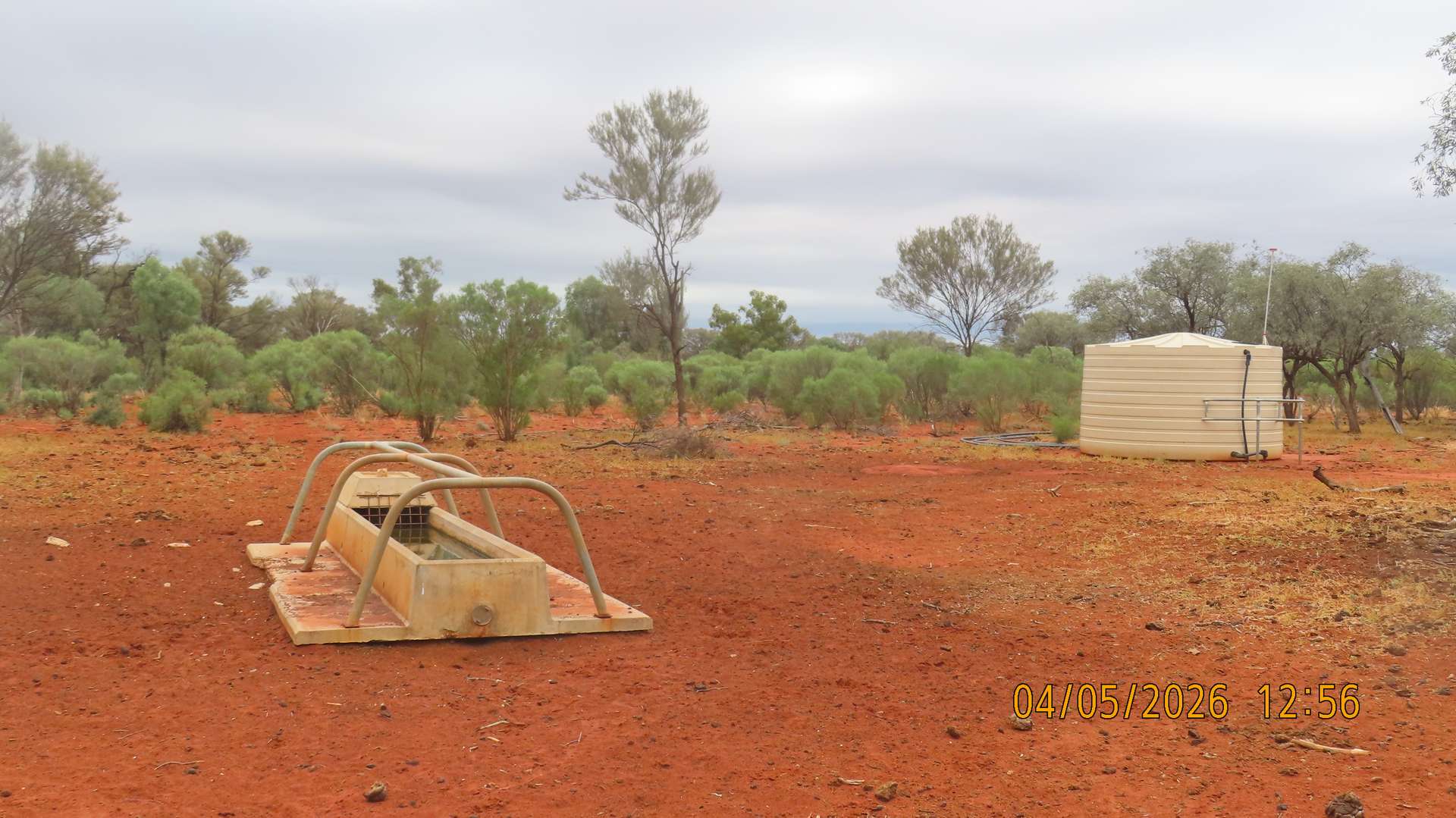 * MAUREEN JOY STATION, Bourke For Sale by Farmbuy.com - image 12