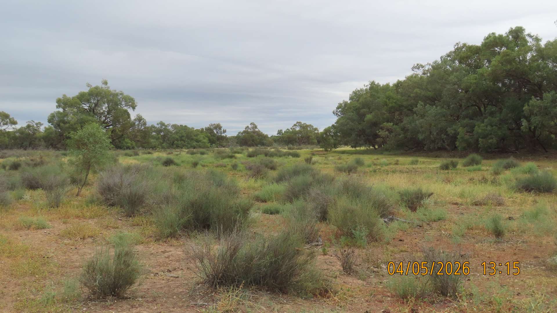 * MAUREEN JOY STATION, Bourke For Sale by Farmbuy.com - image 3