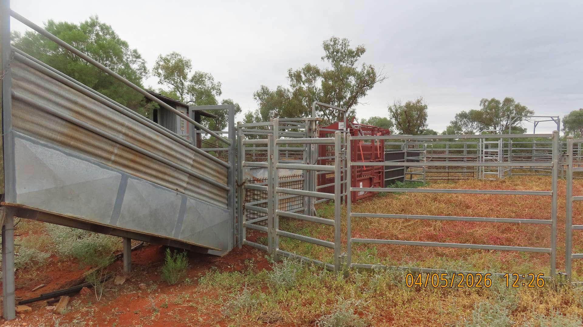 * MAUREEN JOY STATION, Bourke For Sale by Farmbuy.com - image 10