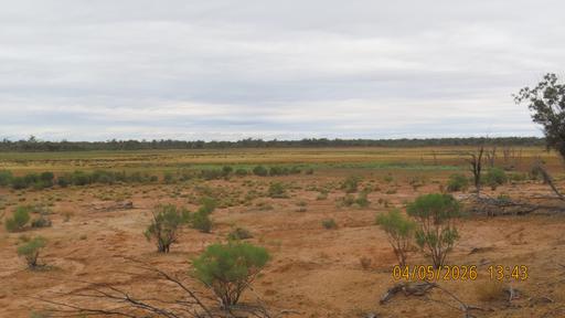 &ast; MAUREEN JOY STATION, Bourke NSW 2840