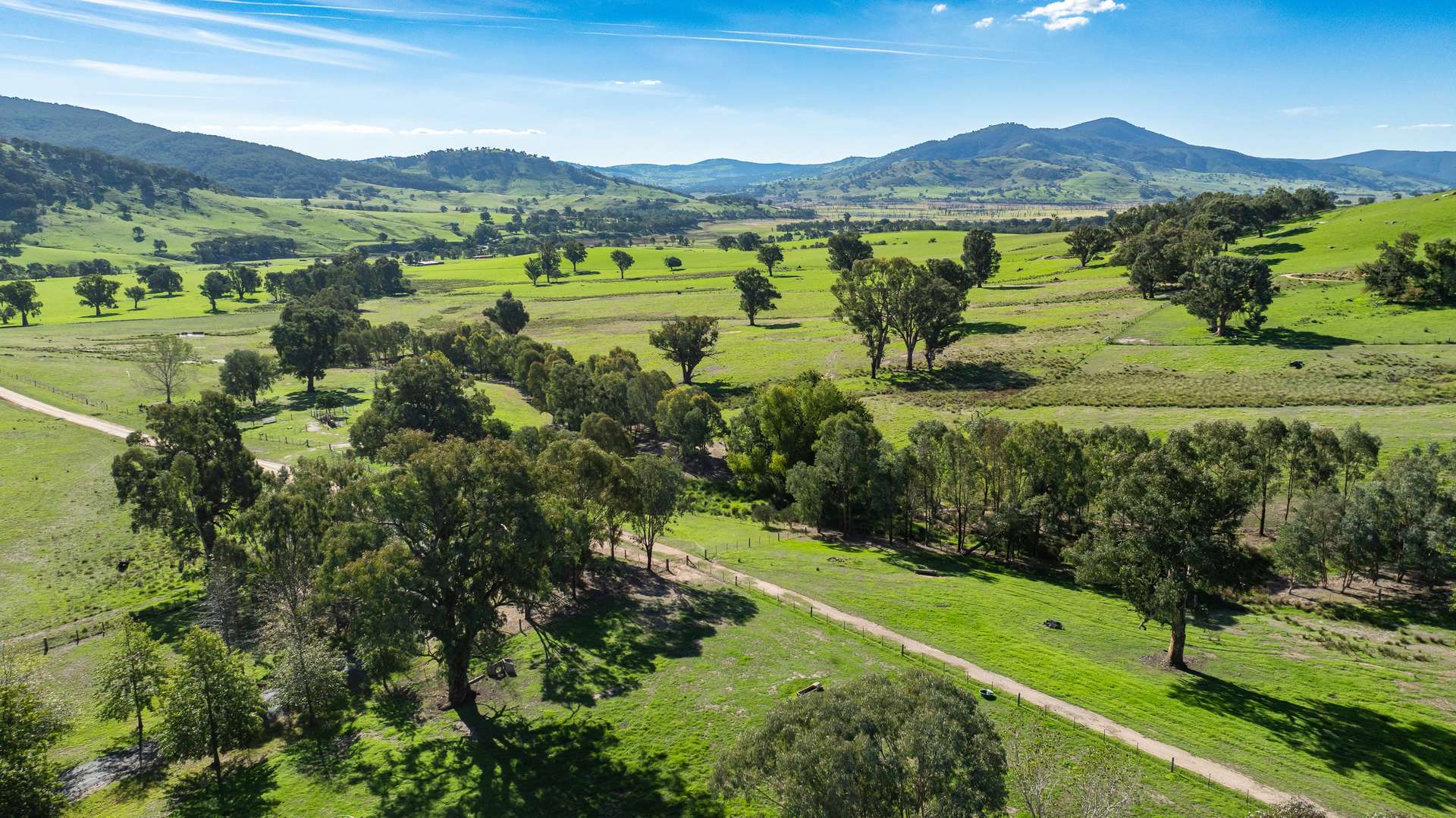 98 Wortmanns Lane, Granya For Sale by Farmbuy.com - image 24