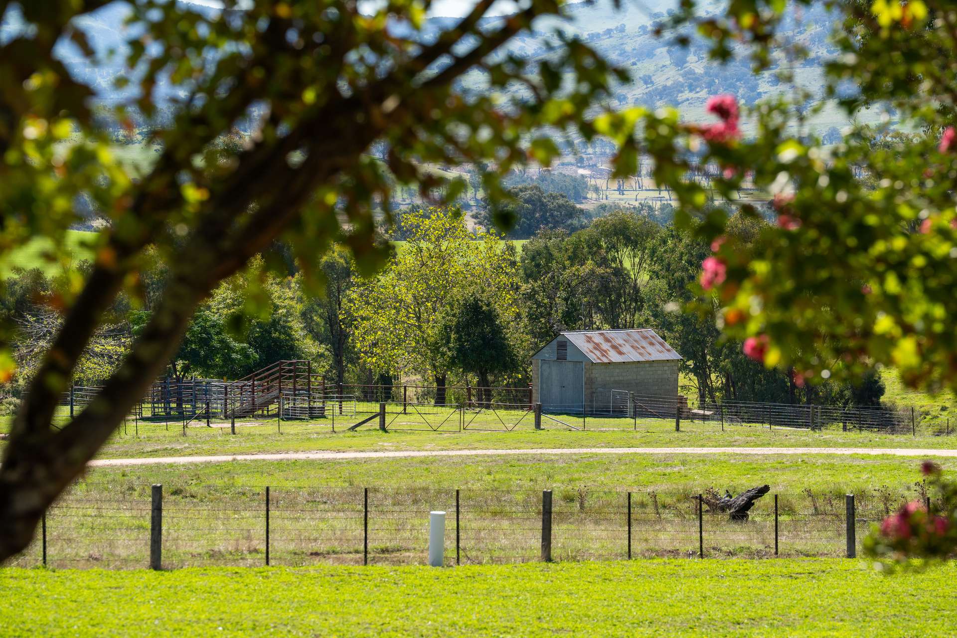 98 Wortmanns Lane, Granya For Sale by Farmbuy.com - image 29