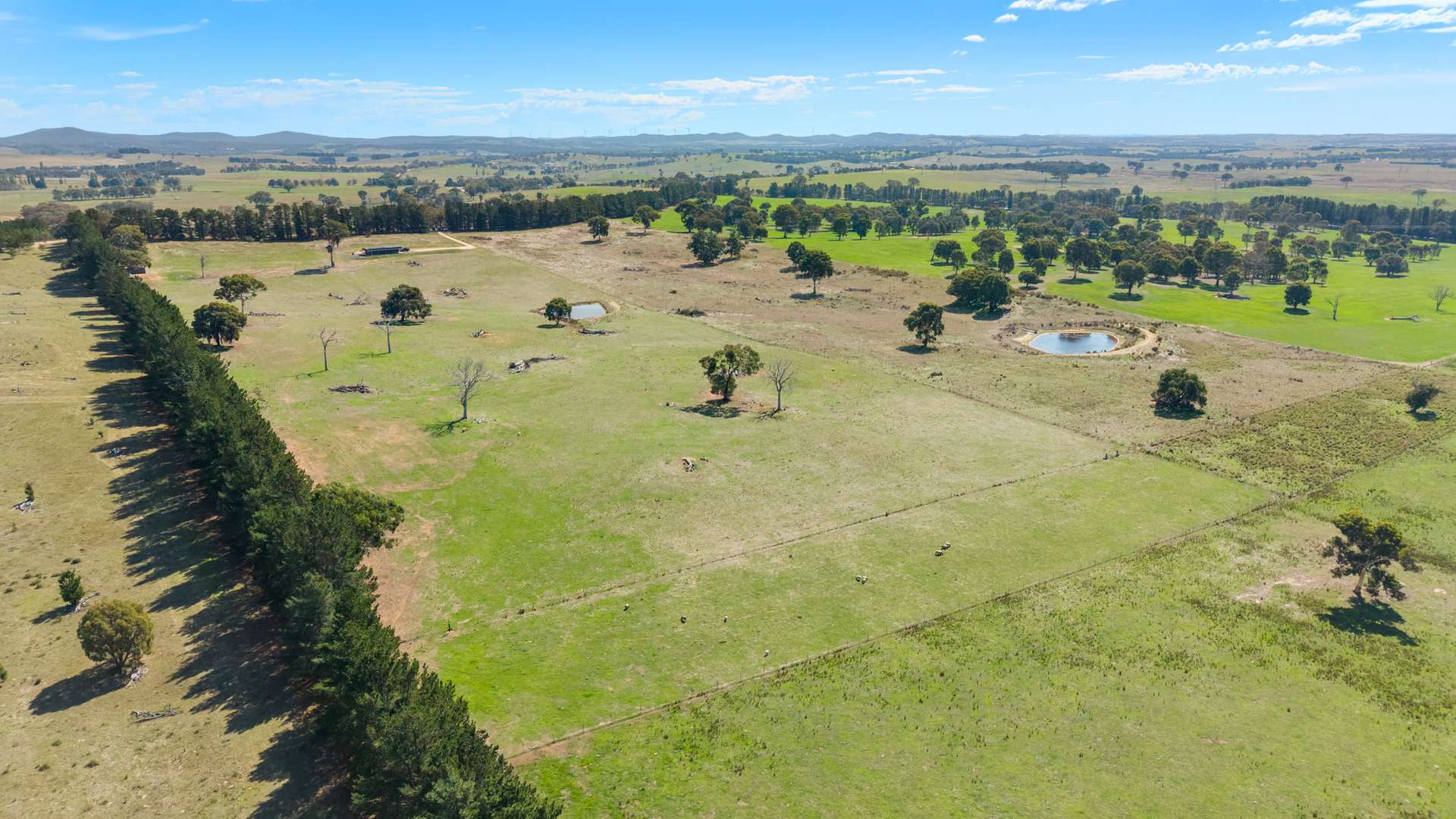 79 Elms Road, Lade Vale For Sale by Farmbuy.com - image 25