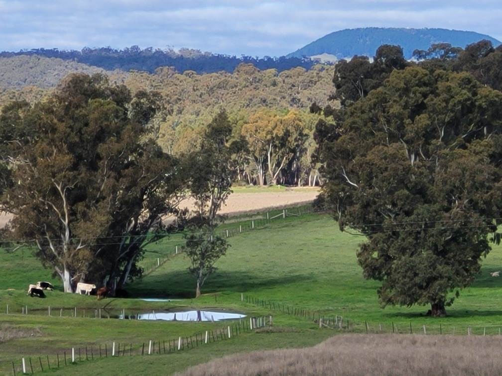 17 Longmire Lane, Strangways For Sale by Farmbuy.com - image 6