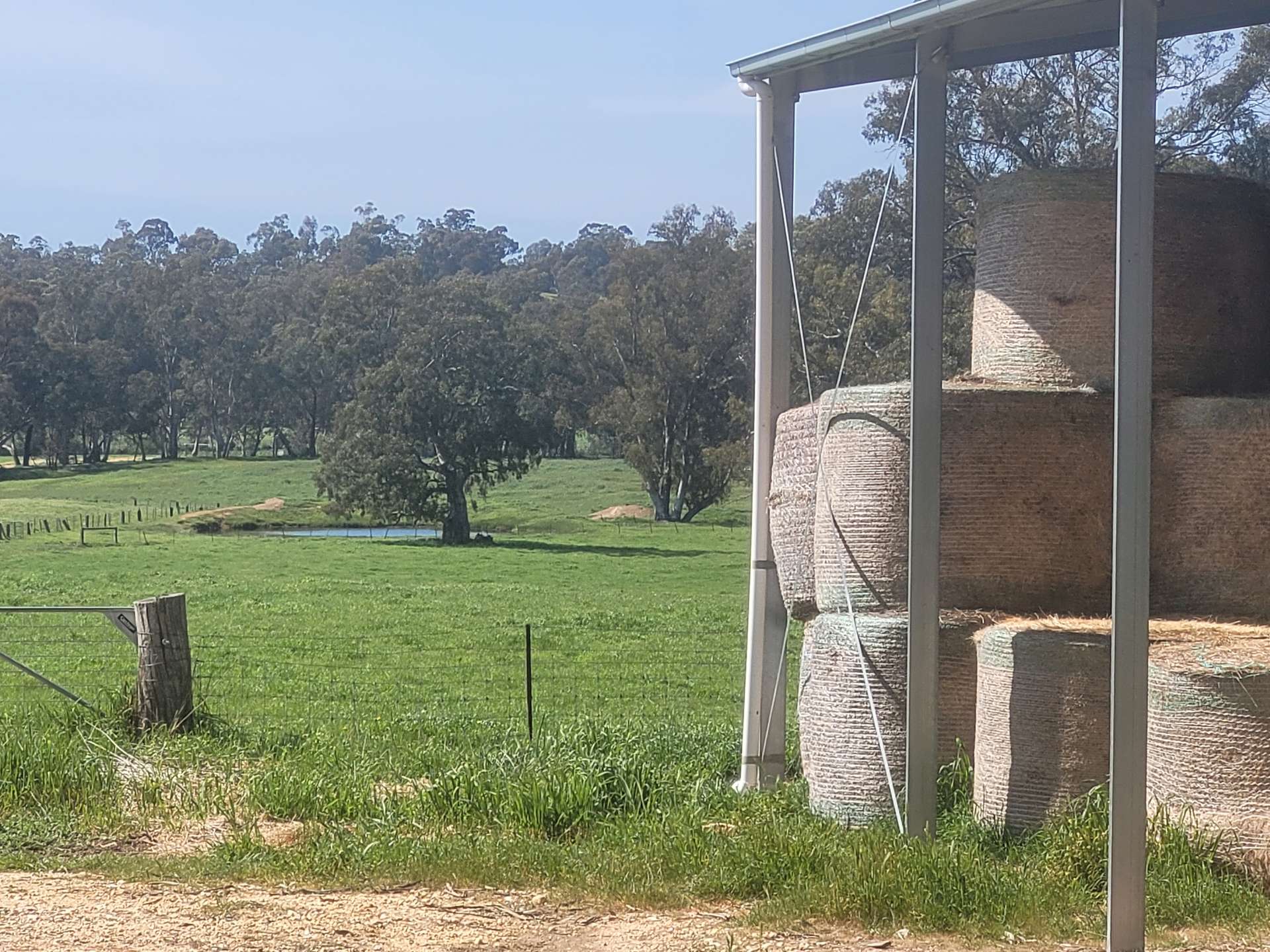 17 Longmire Lane, Strangways For Sale by Farmbuy.com - image 7