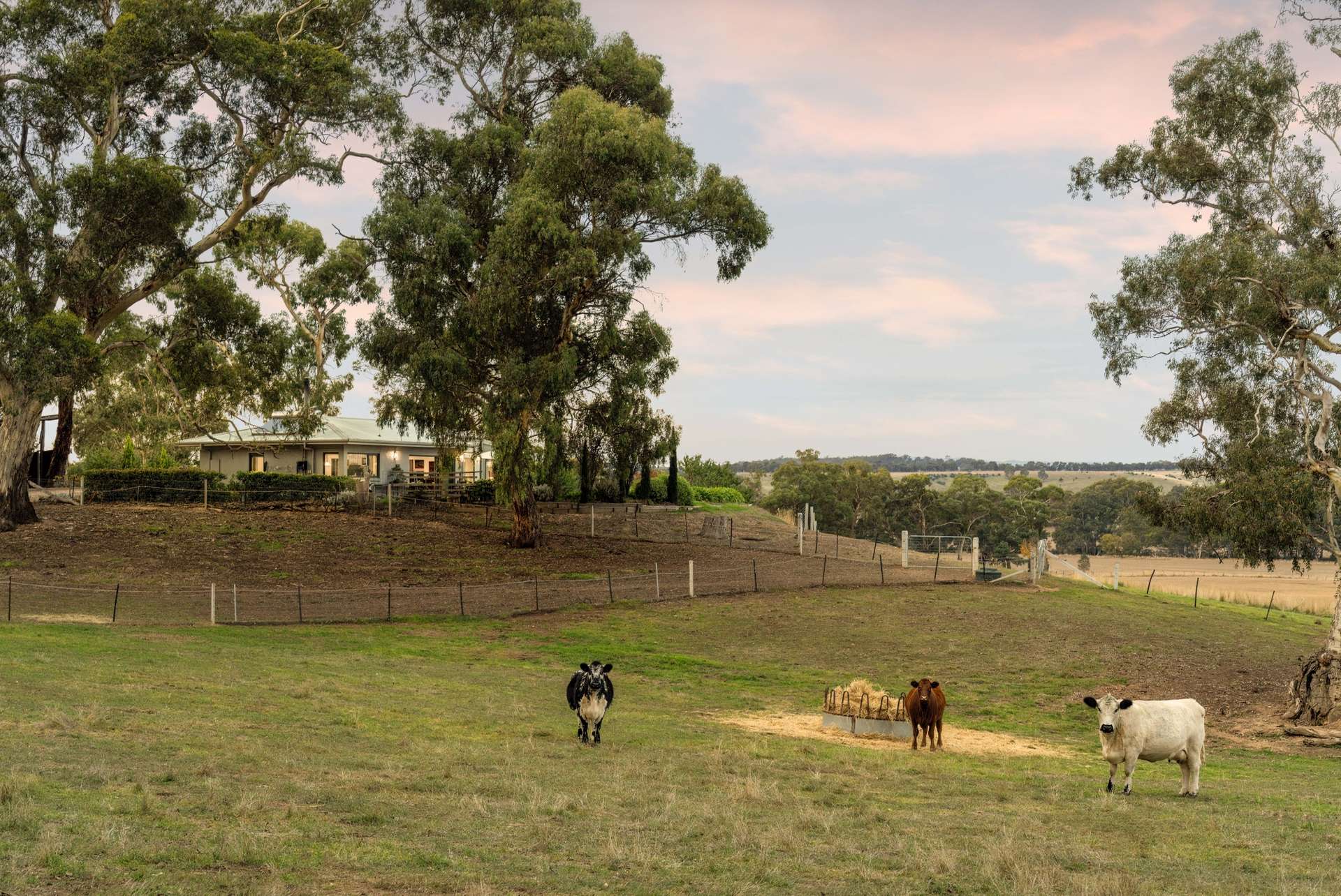 17 Longmire Lane, Strangways For Sale by Farmbuy.com - image 22