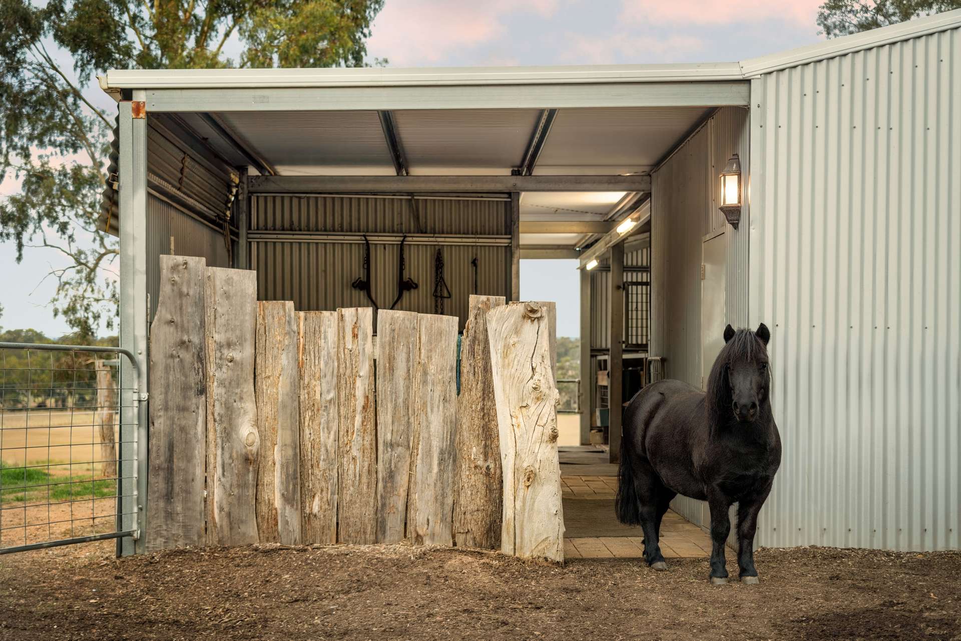 17 Longmire Lane, Strangways For Sale by Farmbuy.com - image 21