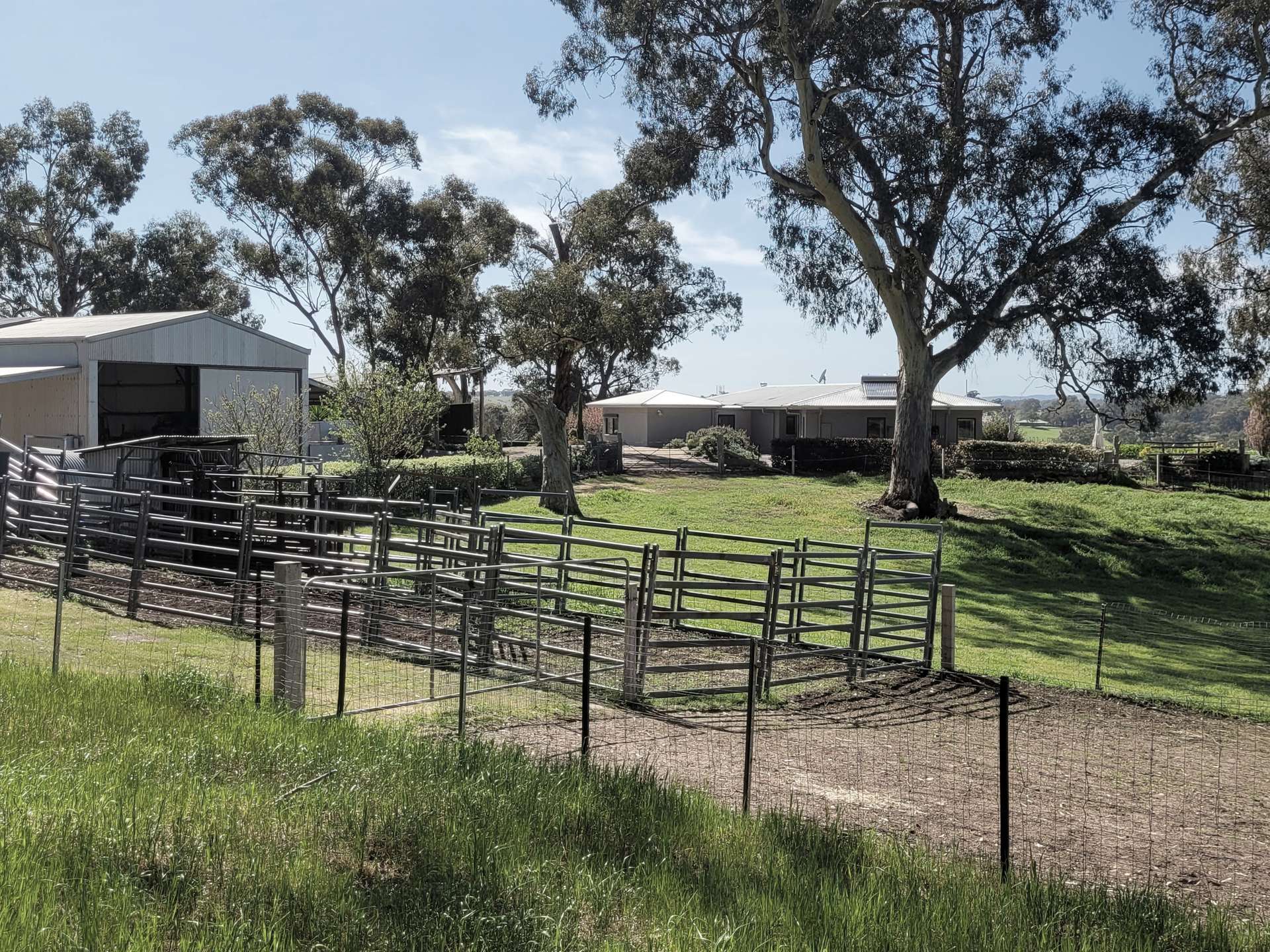 17 Longmire Lane, Strangways For Sale by Farmbuy.com - image 17