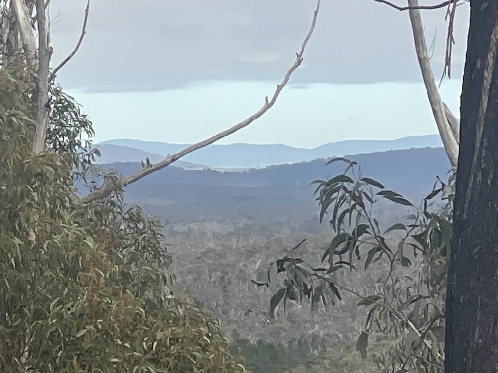 8203 Nerriga Road, Tomboye NSW 2622