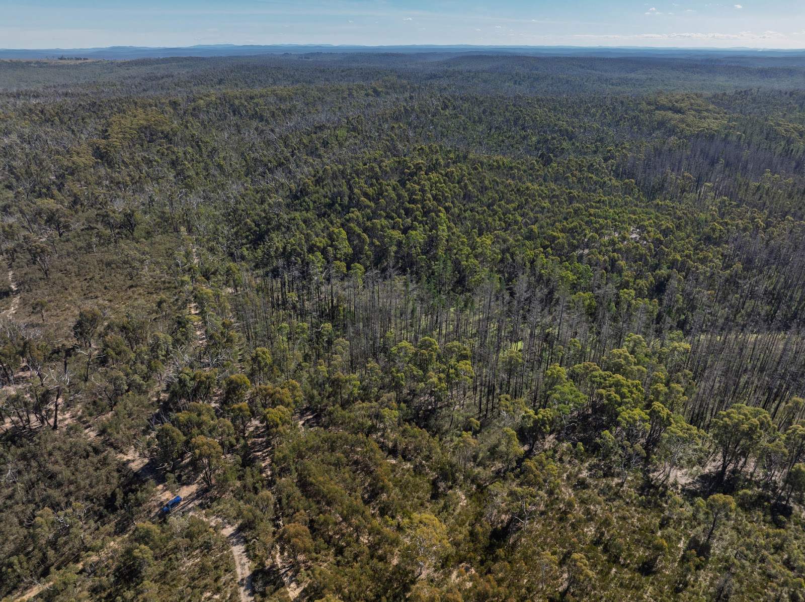 8203 Nerriga Road, Tomboye For Sale by Farmbuy.com - image 14