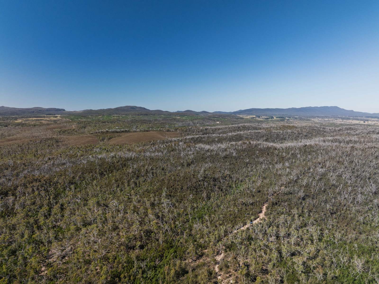 8203 Nerriga Road, Tomboye For Sale by Farmbuy.com - image 6