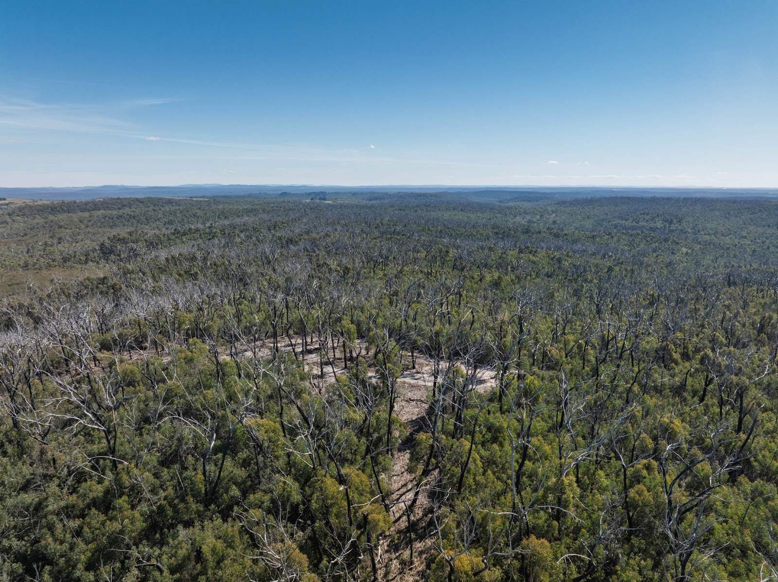 8203 Nerriga Road, Tomboye For Sale by Farmbuy.com - image 9