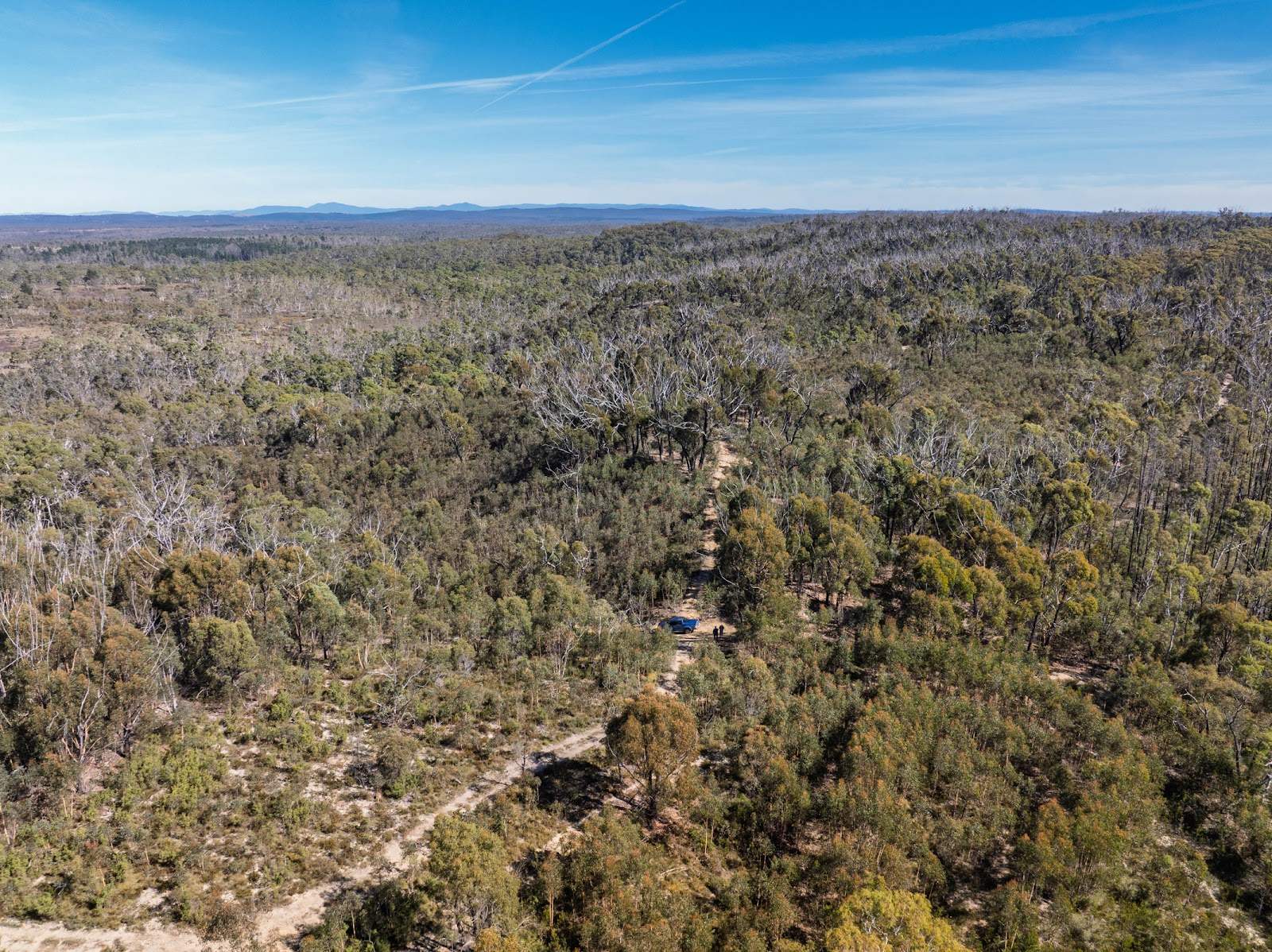 8203 Nerriga Road, Tomboye For Sale by Farmbuy.com - image 17