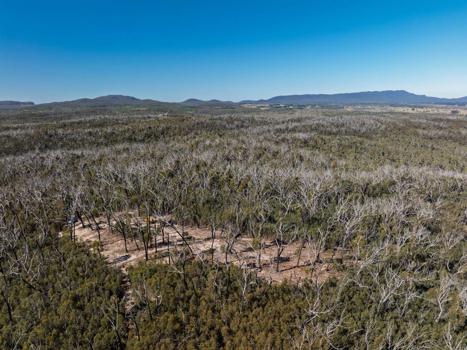 8203 Nerriga Road, Tomboye For Sale by Farmbuy.com - image 12