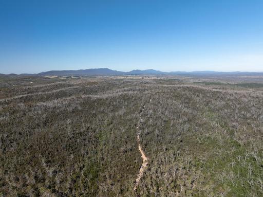 Farm For Sale - NSW - Tomboye - 2622 - 912 Acres | Subdivision Potential | Rural Escape Near Braidwood 