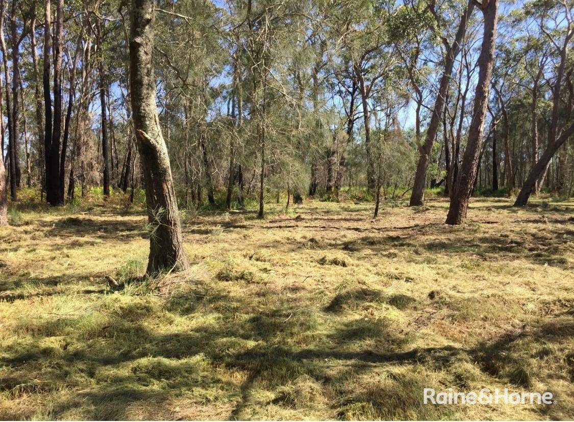 Lot 30 Sunnyside Avenue, Woollamia For Sale by Farmbuy.com - image 13