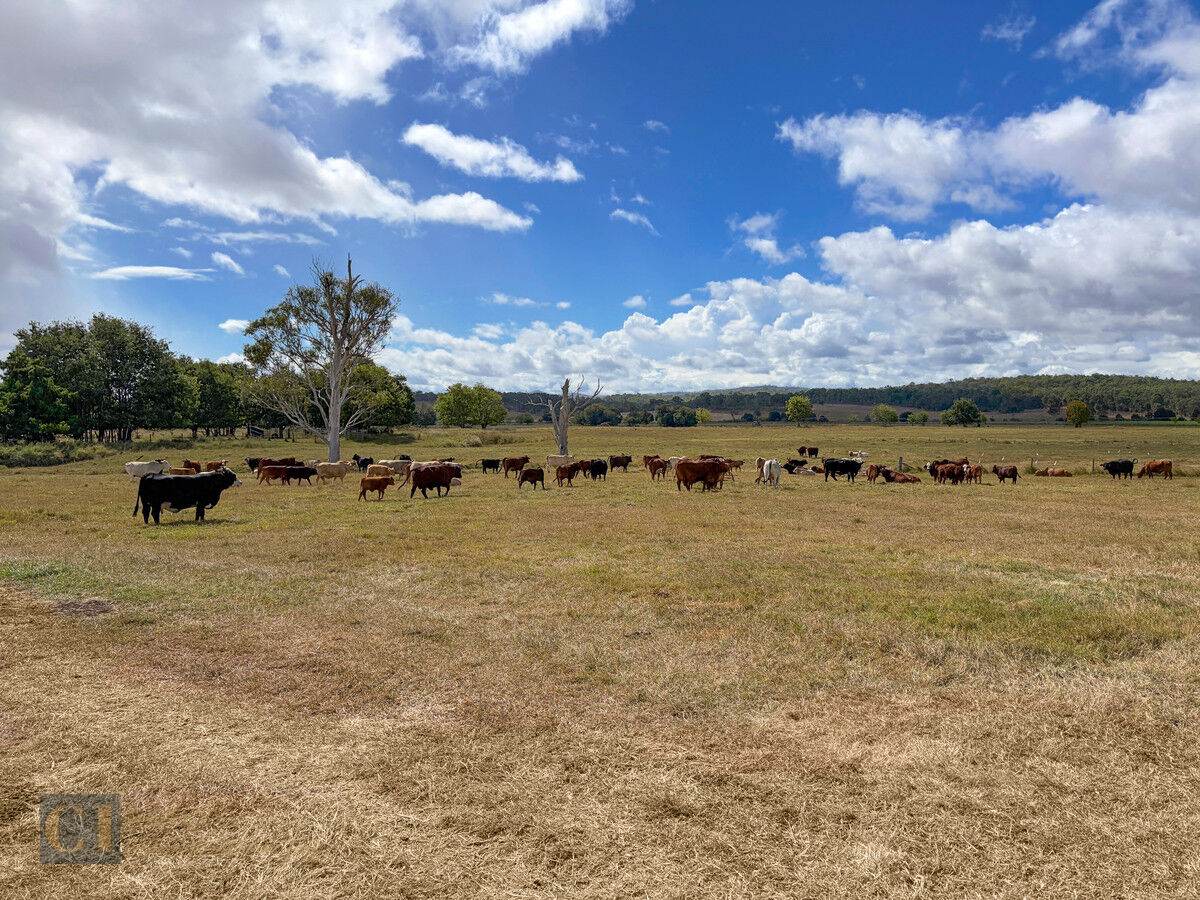 Lot 61 - 64,  Oaky Creek Road, Oaky Creek For Sale by Farmbuy.com - image 10