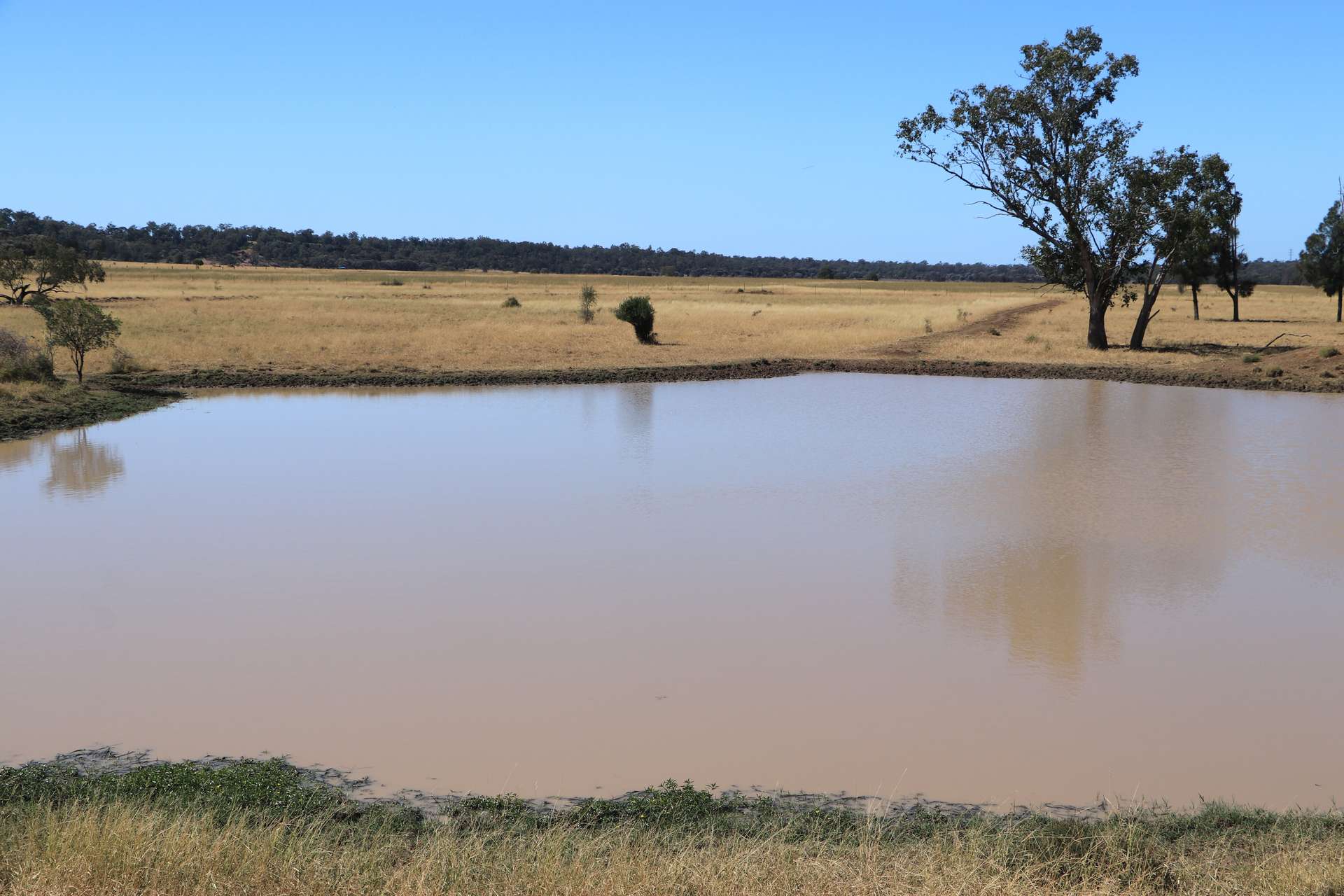 0 Swans Road, Wallumbilla Auction by Farmbuy.com - image 16