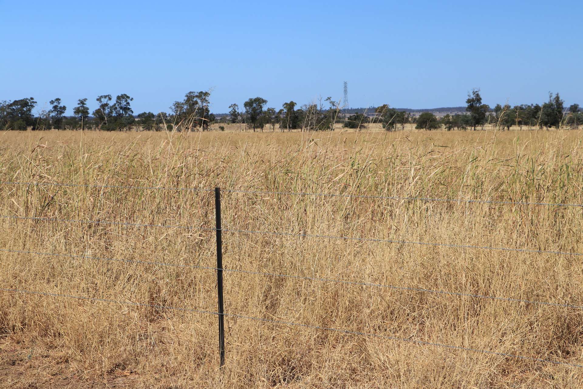 0 Swans Road, Wallumbilla Auction by Farmbuy.com - image 24