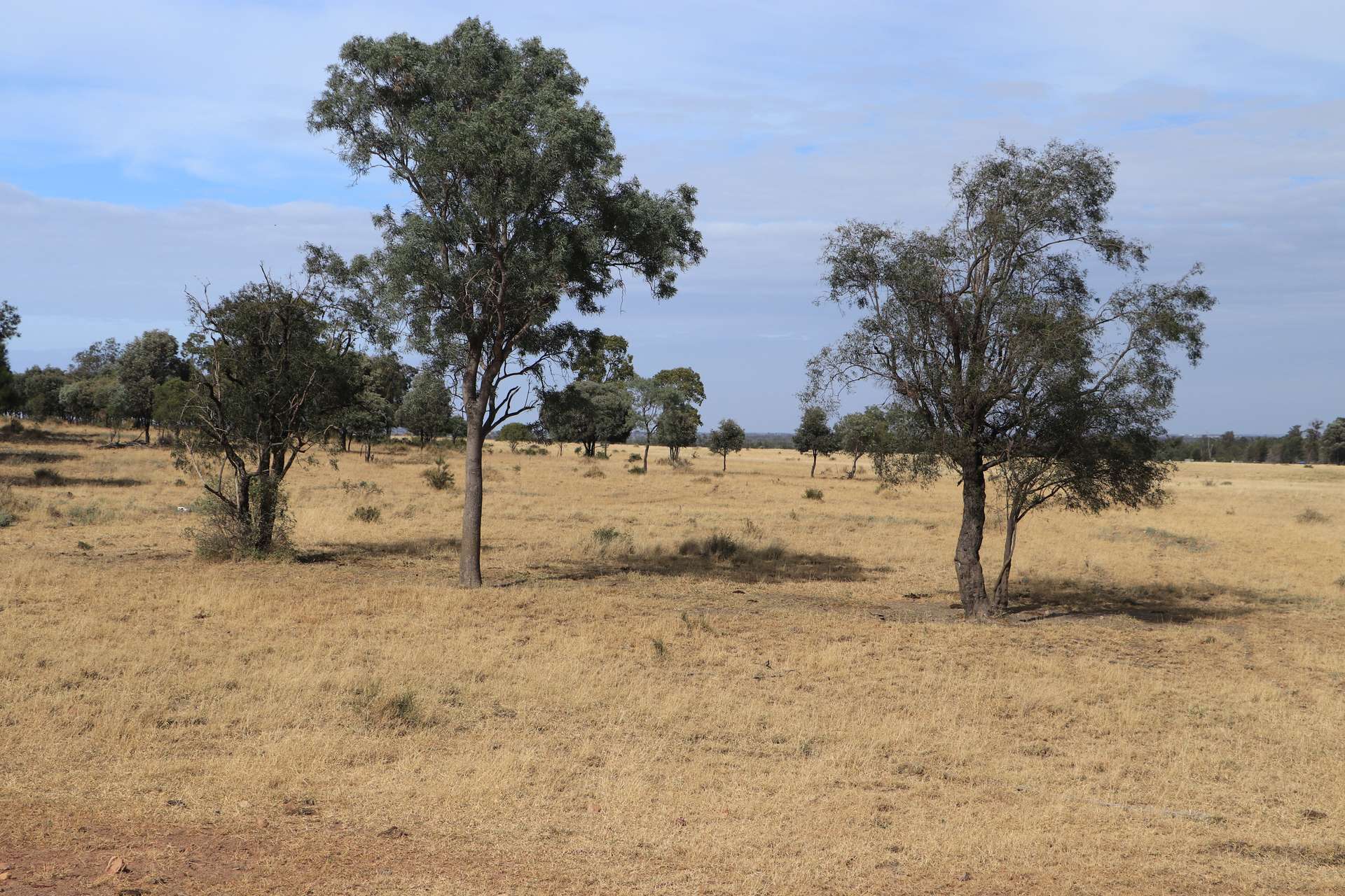 0 Swans Road, Wallumbilla Auction by Farmbuy.com - image 9