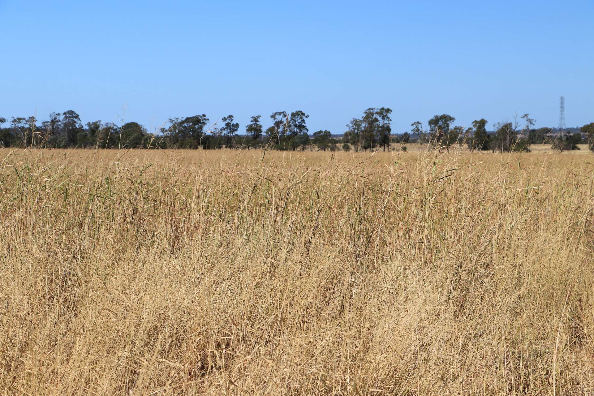 0 Swans Road, Wallumbilla Auction by Farmbuy.com - image 19