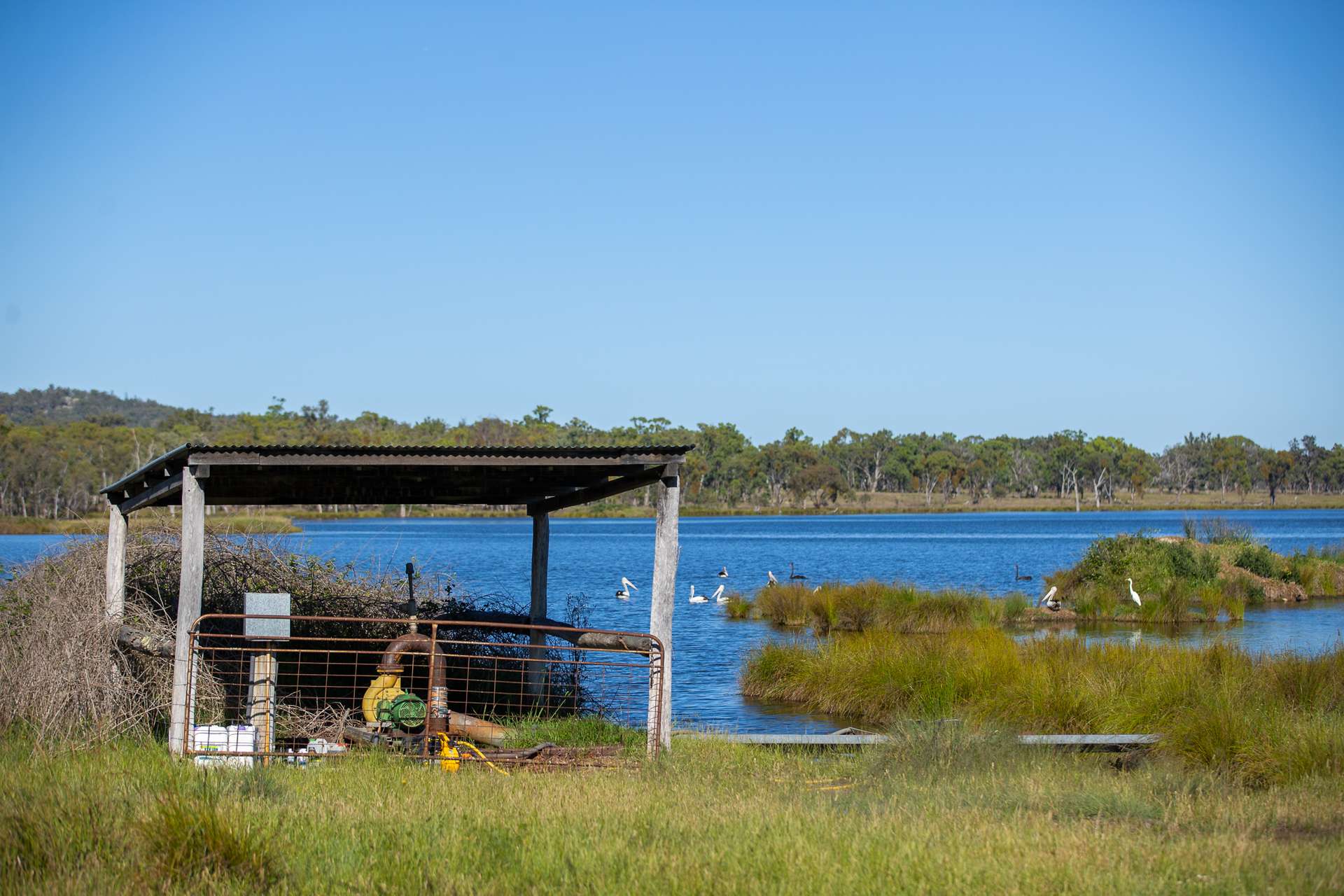 107 Bundarra Road, Inverell For Sale by Farmbuy.com - image 22