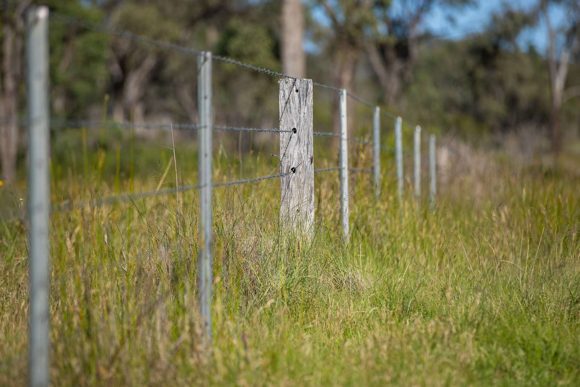 107 Bundarra Road, Inverell For Sale by Farmbuy.com - image 5