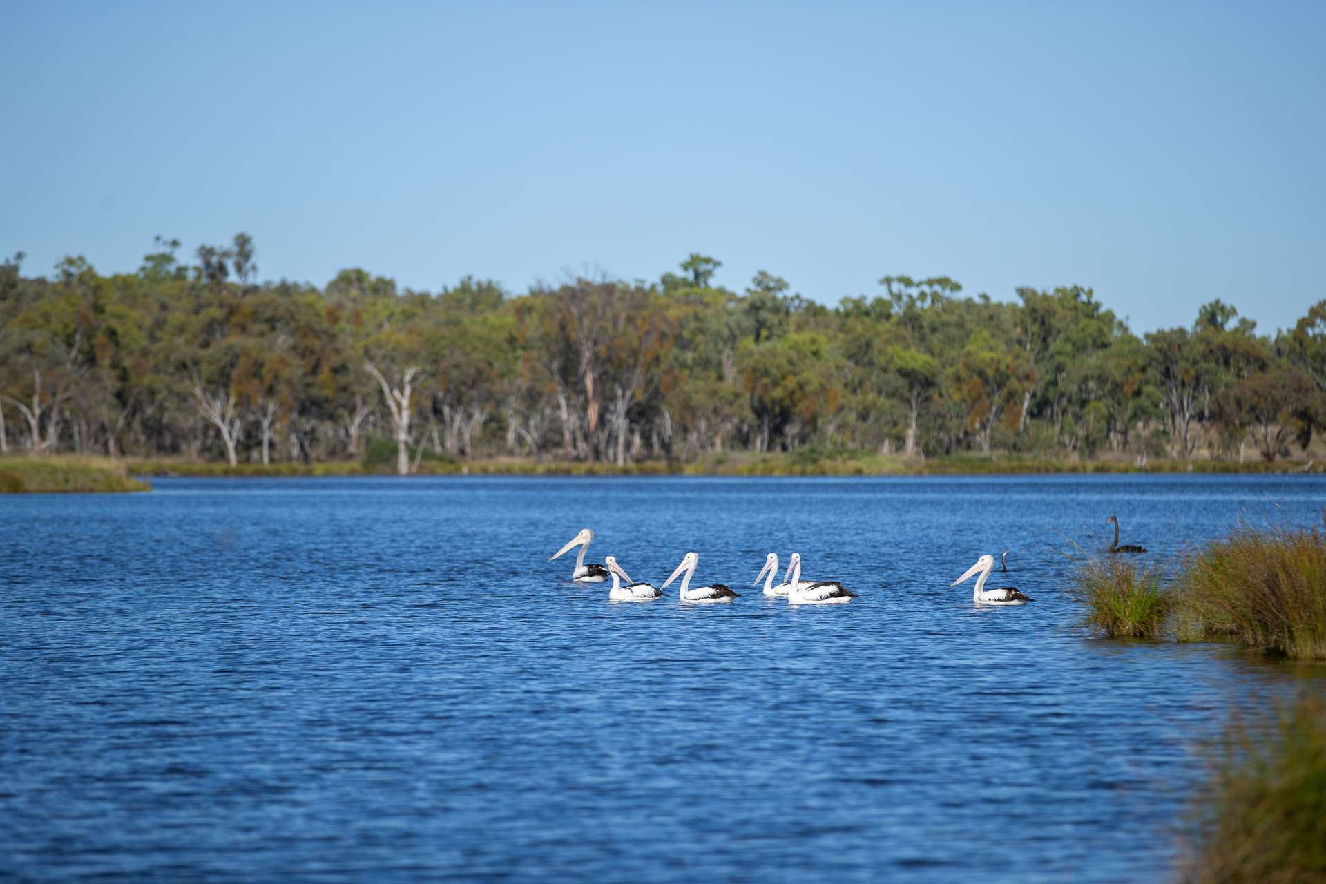 107 Bundarra Road, Inverell For Sale by Farmbuy.com - image 3