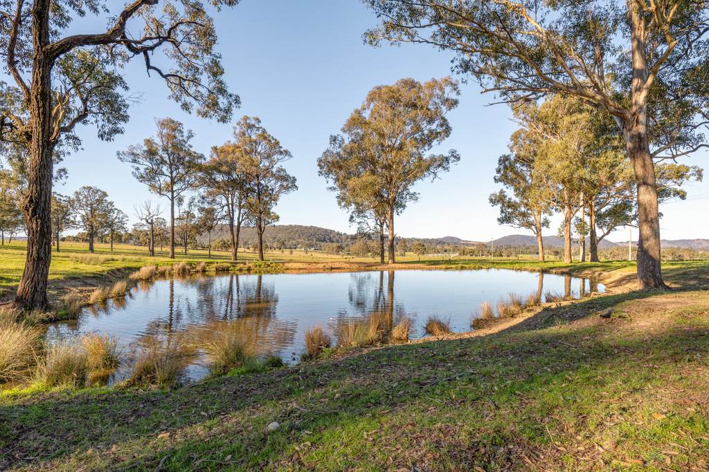 3949 Clarence Town Road, Dungog NSW 2420