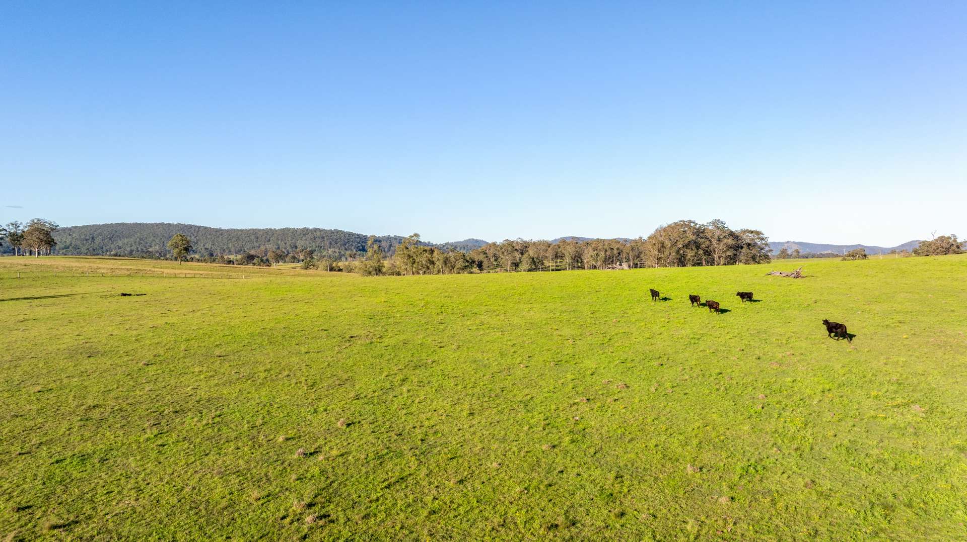 3949 Clarence Town Road, Dungog For Sale by Farmbuy.com - image 2