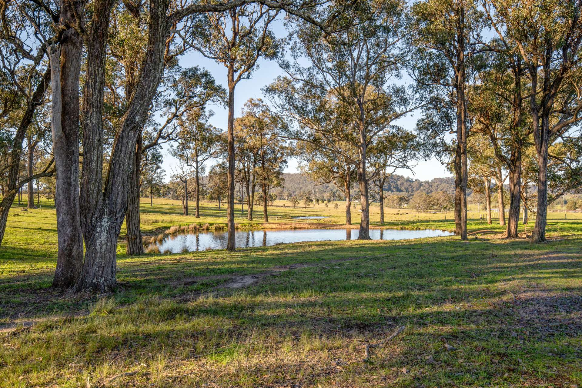 3949 Clarence Town Road, Dungog For Sale by Farmbuy.com - image 29