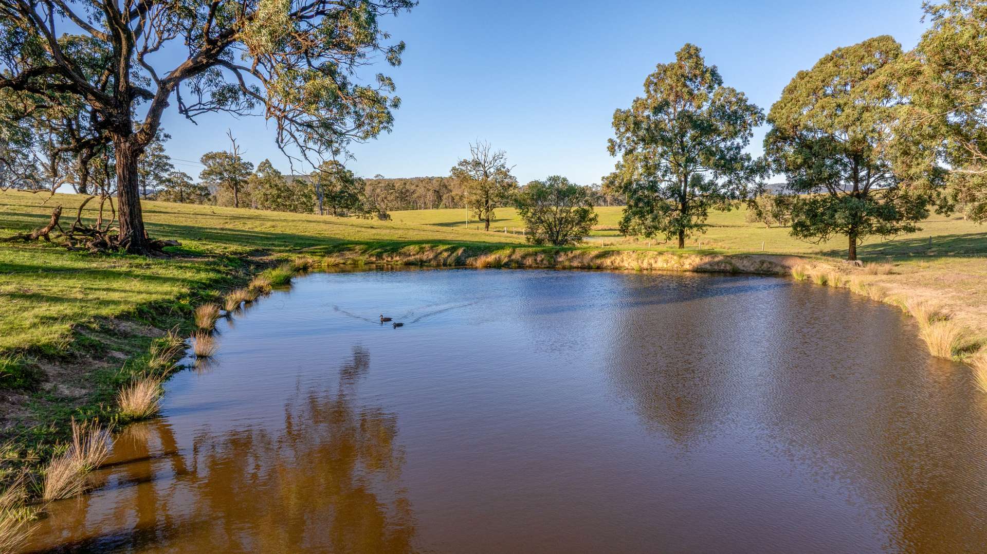 3949 Clarence Town Road, Dungog For Sale by Farmbuy.com - image 20