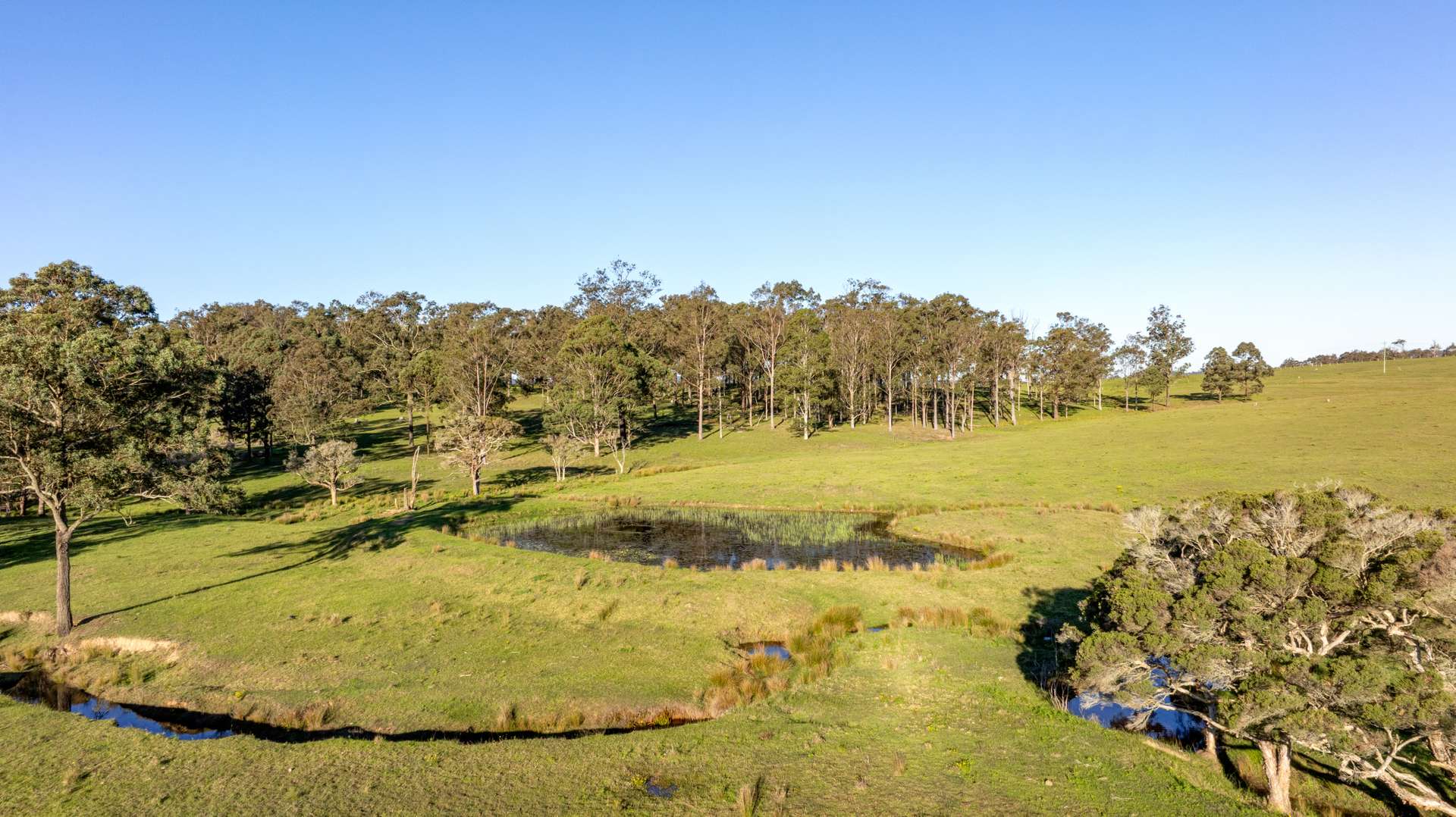 3949 Clarence Town Road, Dungog For Sale by Farmbuy.com - image 22