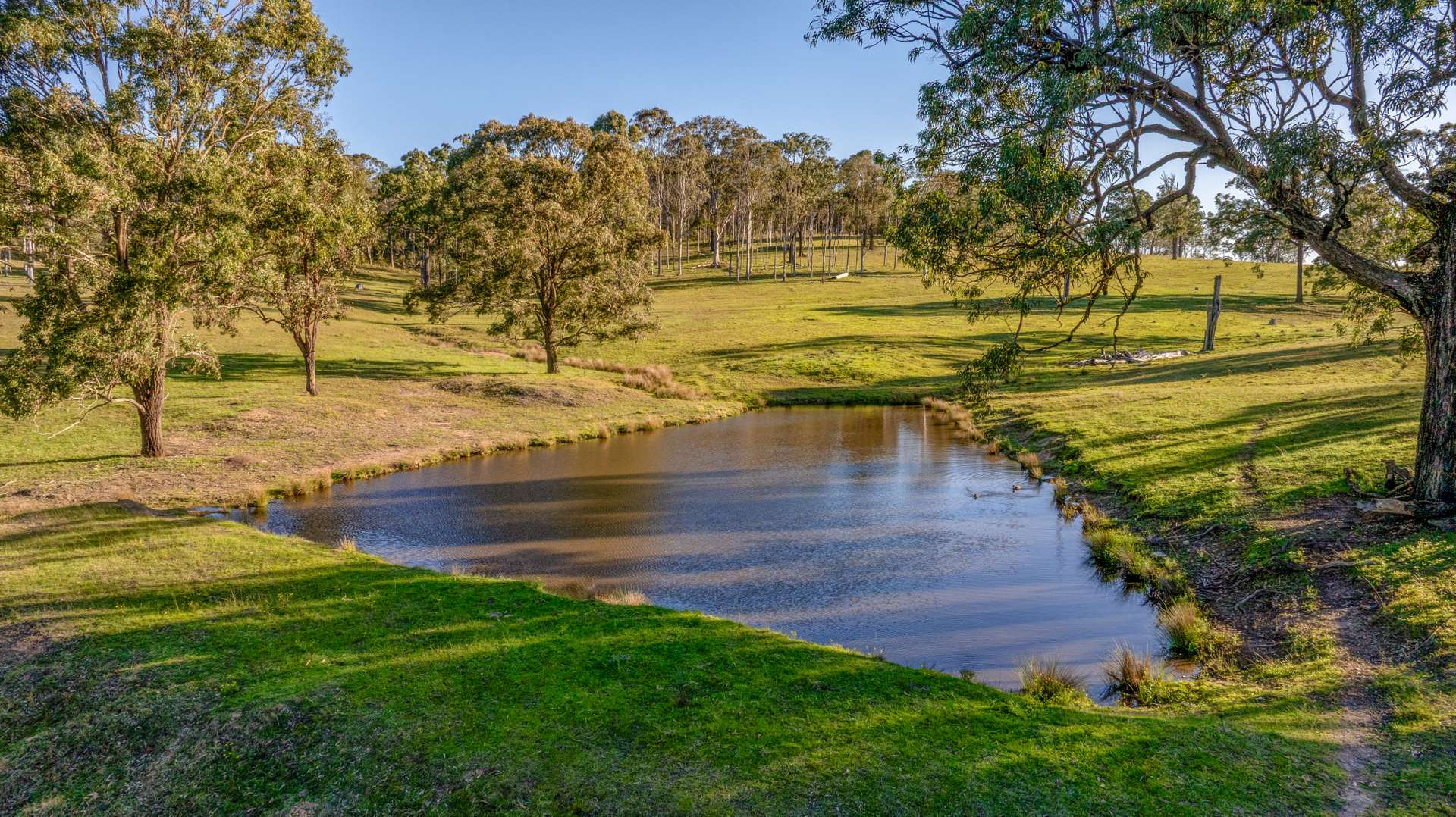 3949 Clarence Town Road, Dungog For Sale by Farmbuy.com - image 13