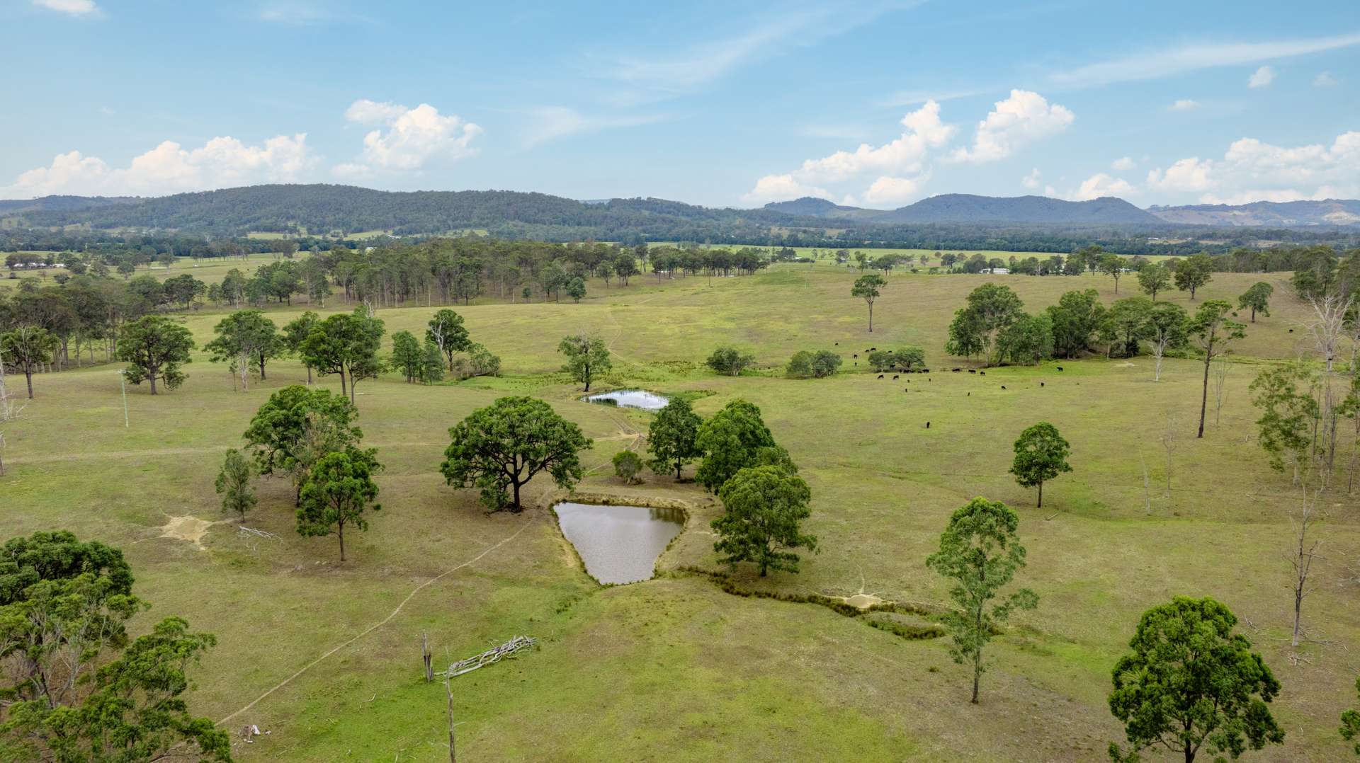 3949 Clarence Town Road, Dungog For Sale by Farmbuy.com - image 6