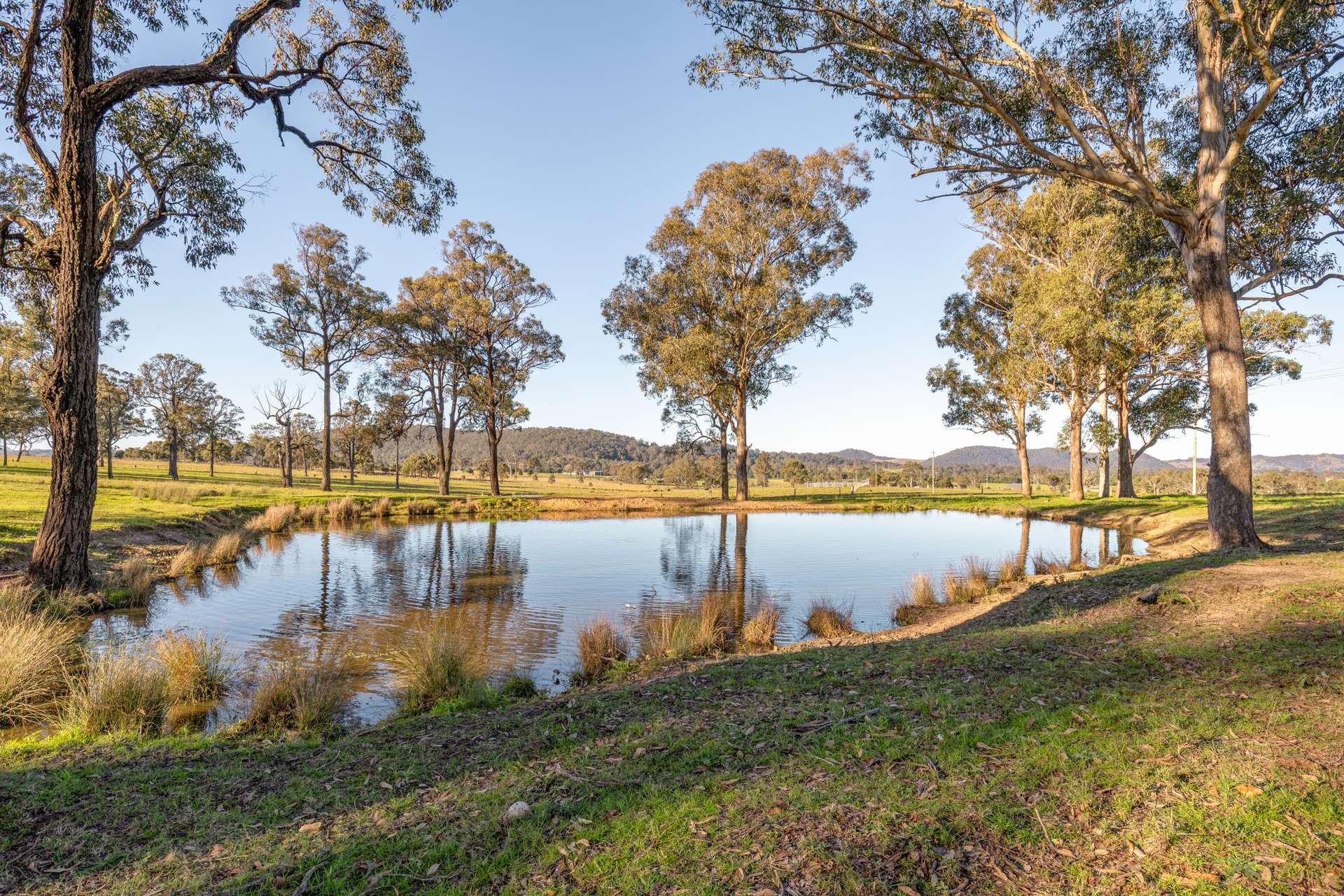 3949 Clarence Town Road, Dungog For Sale by Farmbuy.com - image 3