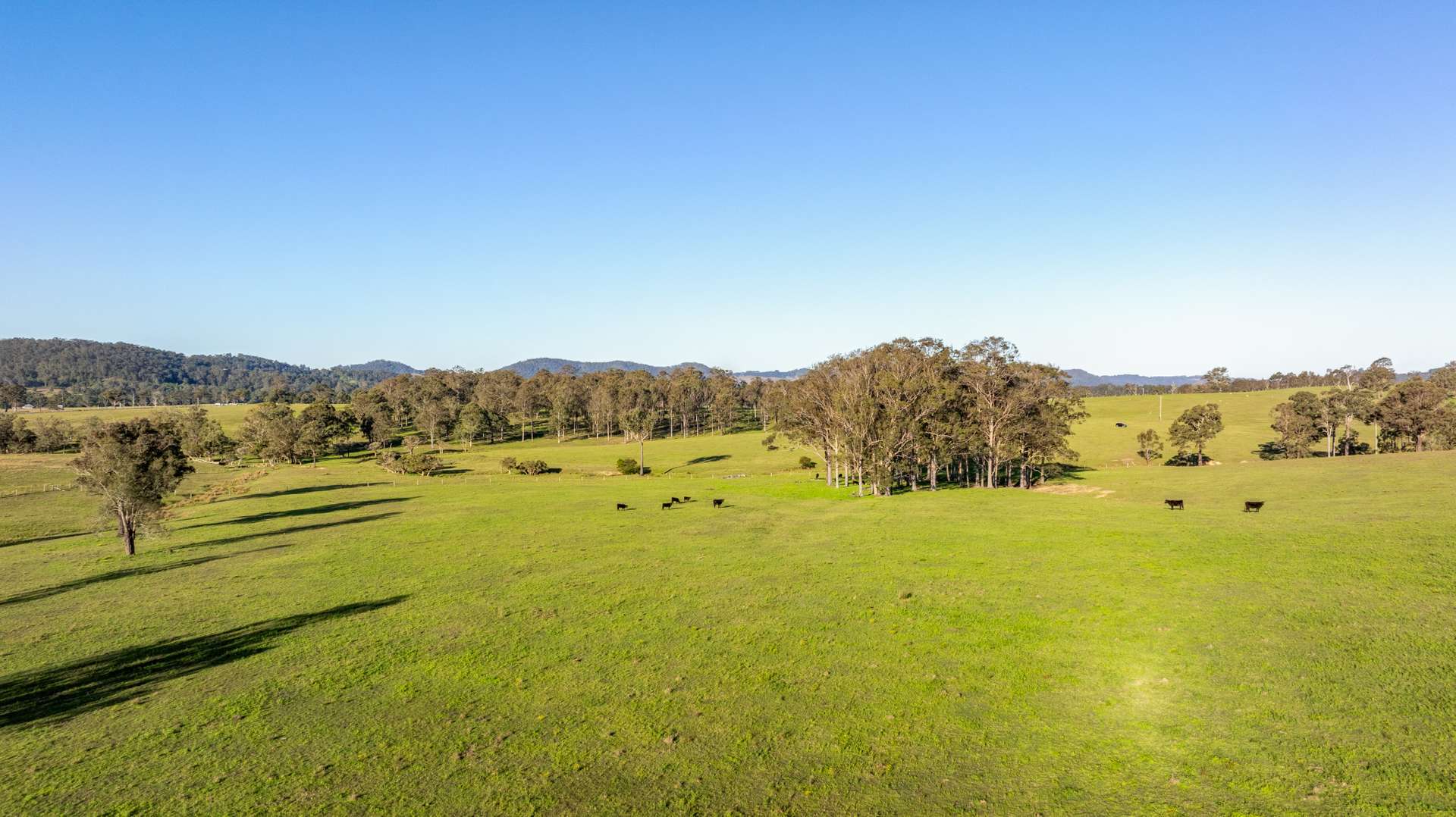 3949 Clarence Town Road, Dungog For Sale by Farmbuy.com - image 21