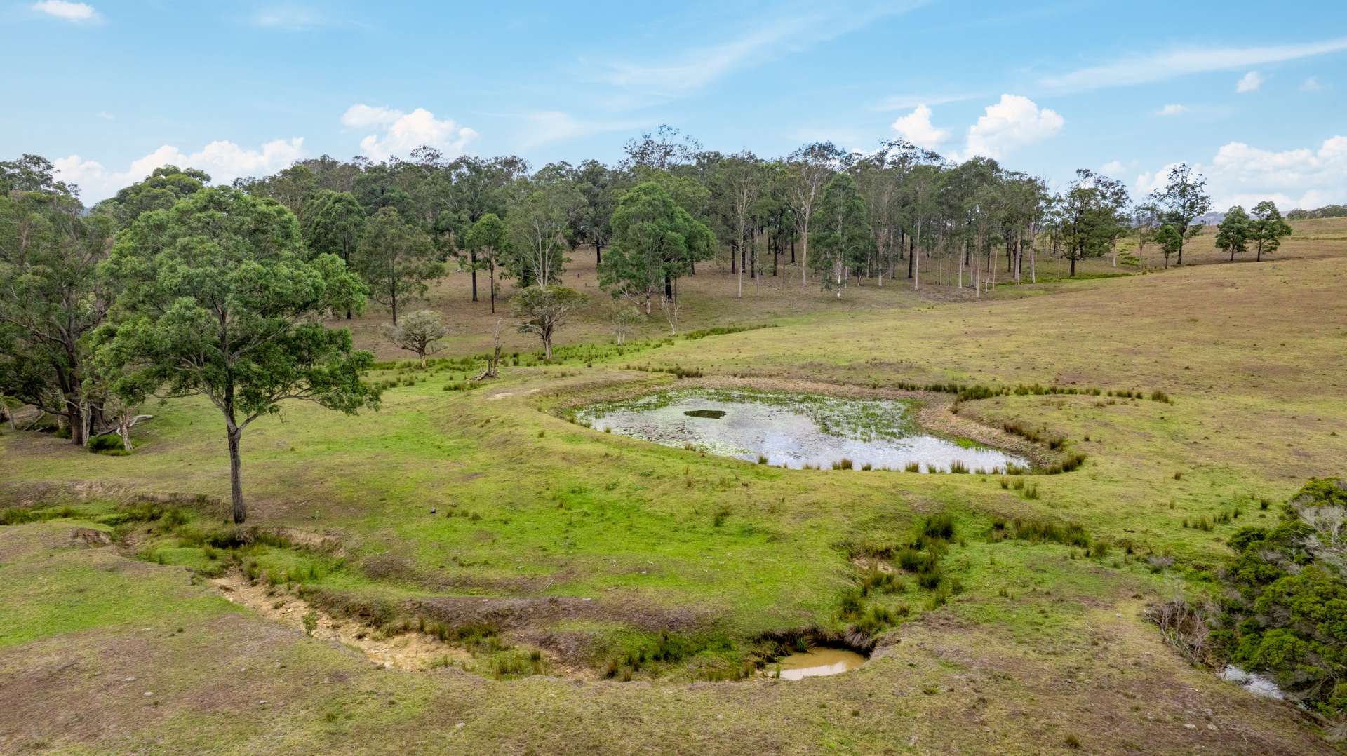 3949 Clarence Town Road, Dungog For Sale by Farmbuy.com - image 9