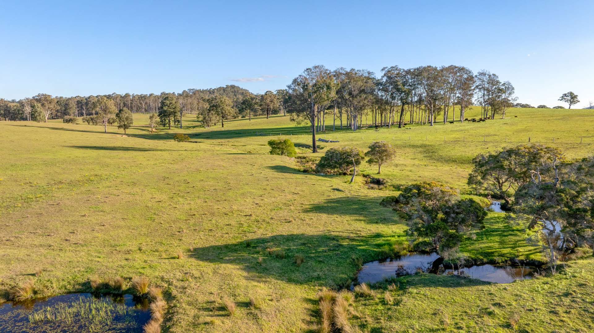 3949 Clarence Town Road, Dungog For Sale by Farmbuy.com - image 25