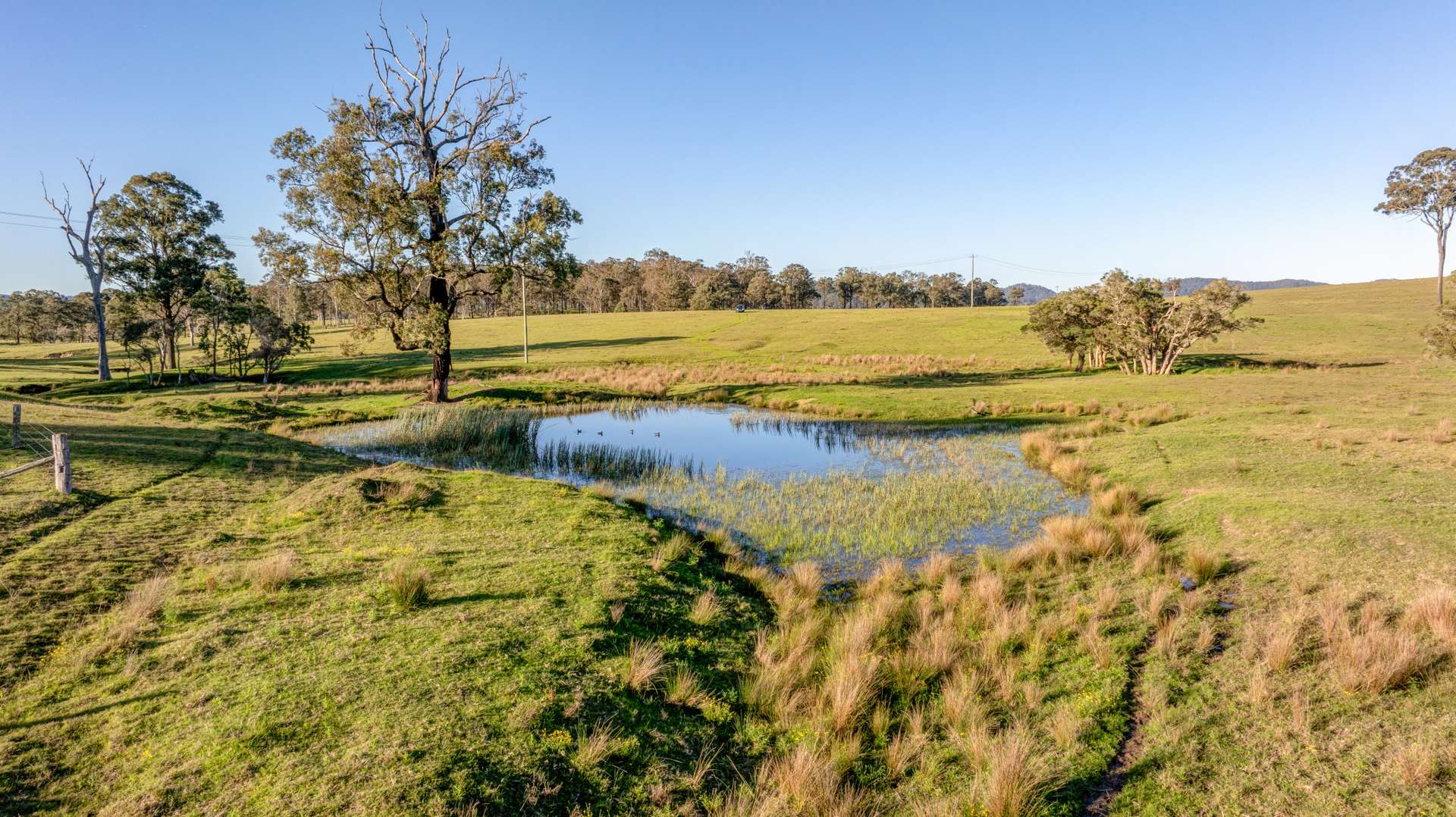 3949 Clarence Town Road, Dungog For Sale by Farmbuy.com - image 19