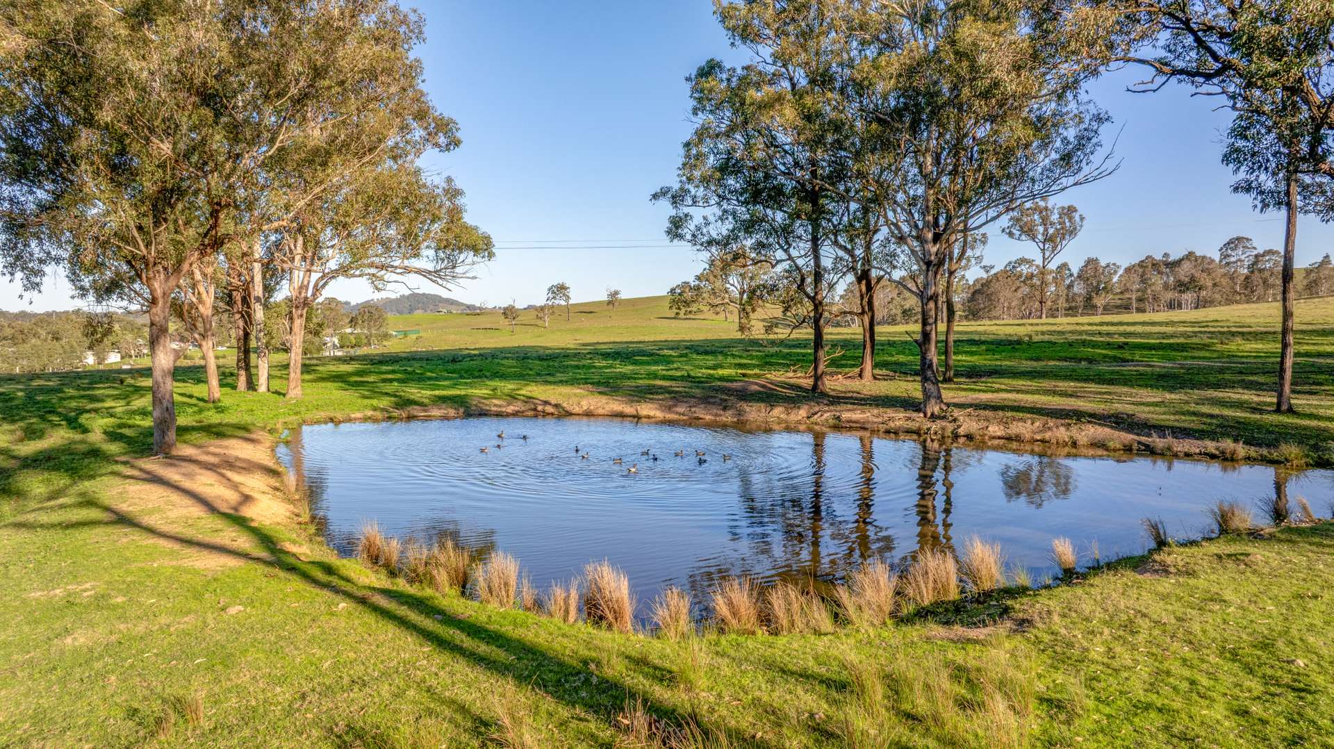3949 Clarence Town Road, Dungog For Sale by Farmbuy.com - image 11
