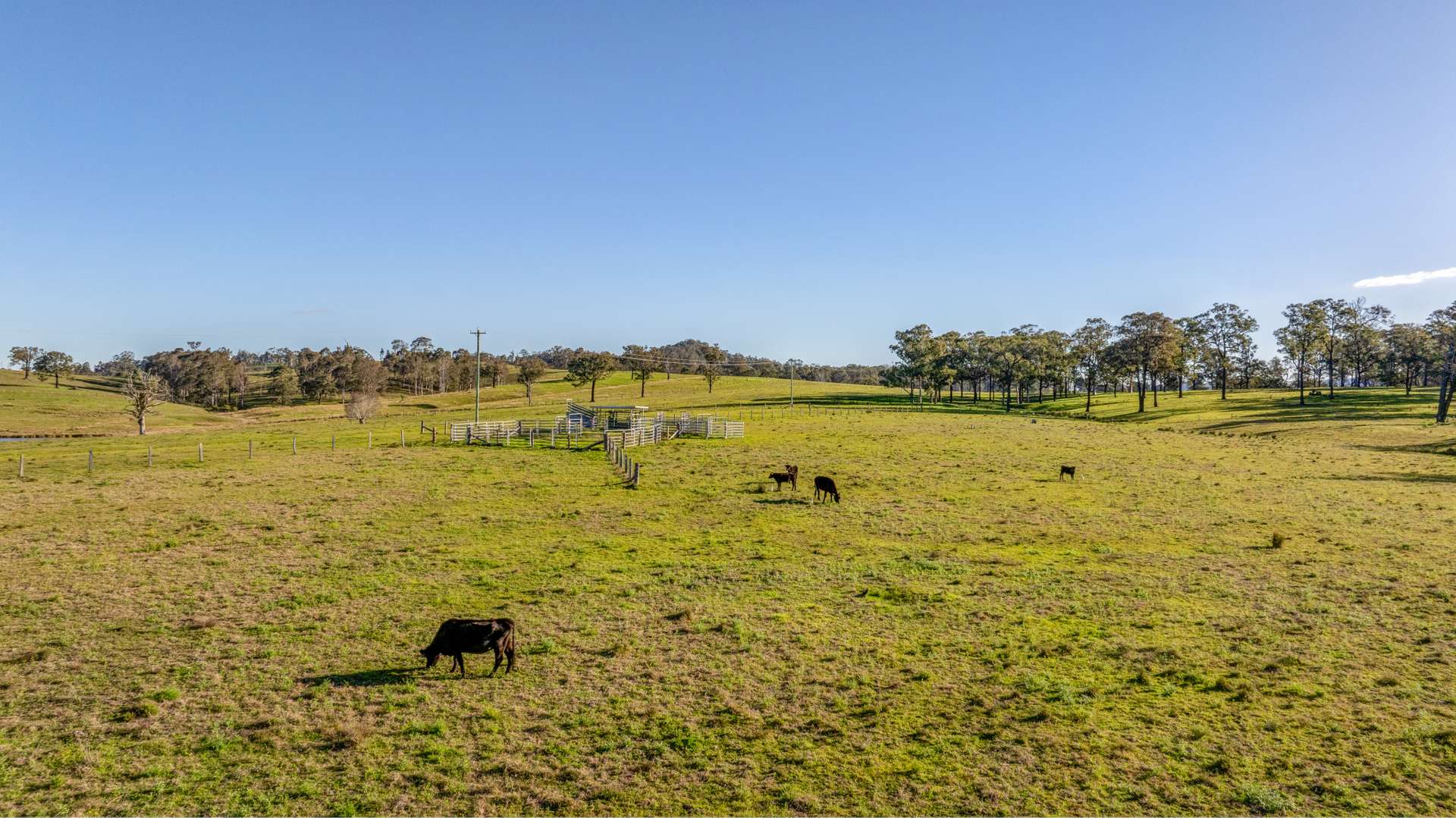 3949 Clarence Town Road, Dungog For Sale by Farmbuy.com - image 7