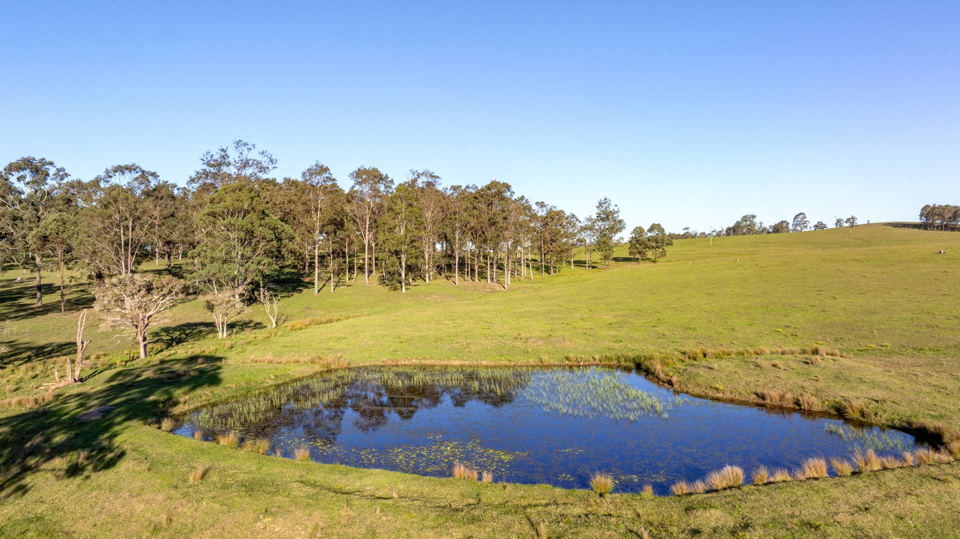 3949 Clarence Town Road, Dungog For Sale by Farmbuy.com - image 23