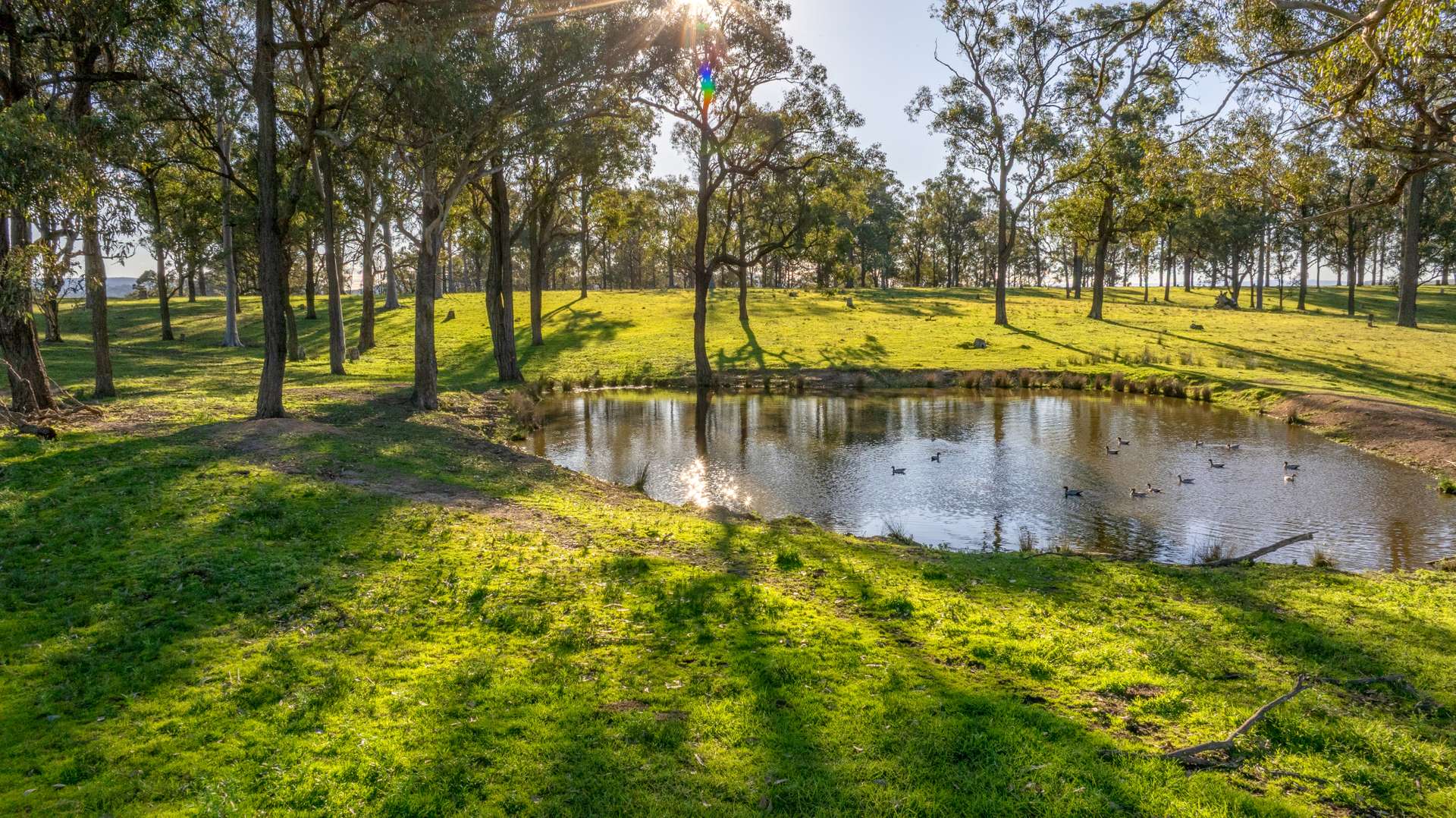 3949 Clarence Town Road, Dungog For Sale by Farmbuy.com - image 10