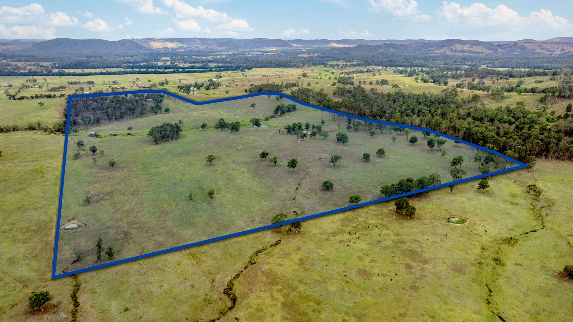 3949 Clarence Town Road, Dungog For Sale by Farmbuy.com - image 28