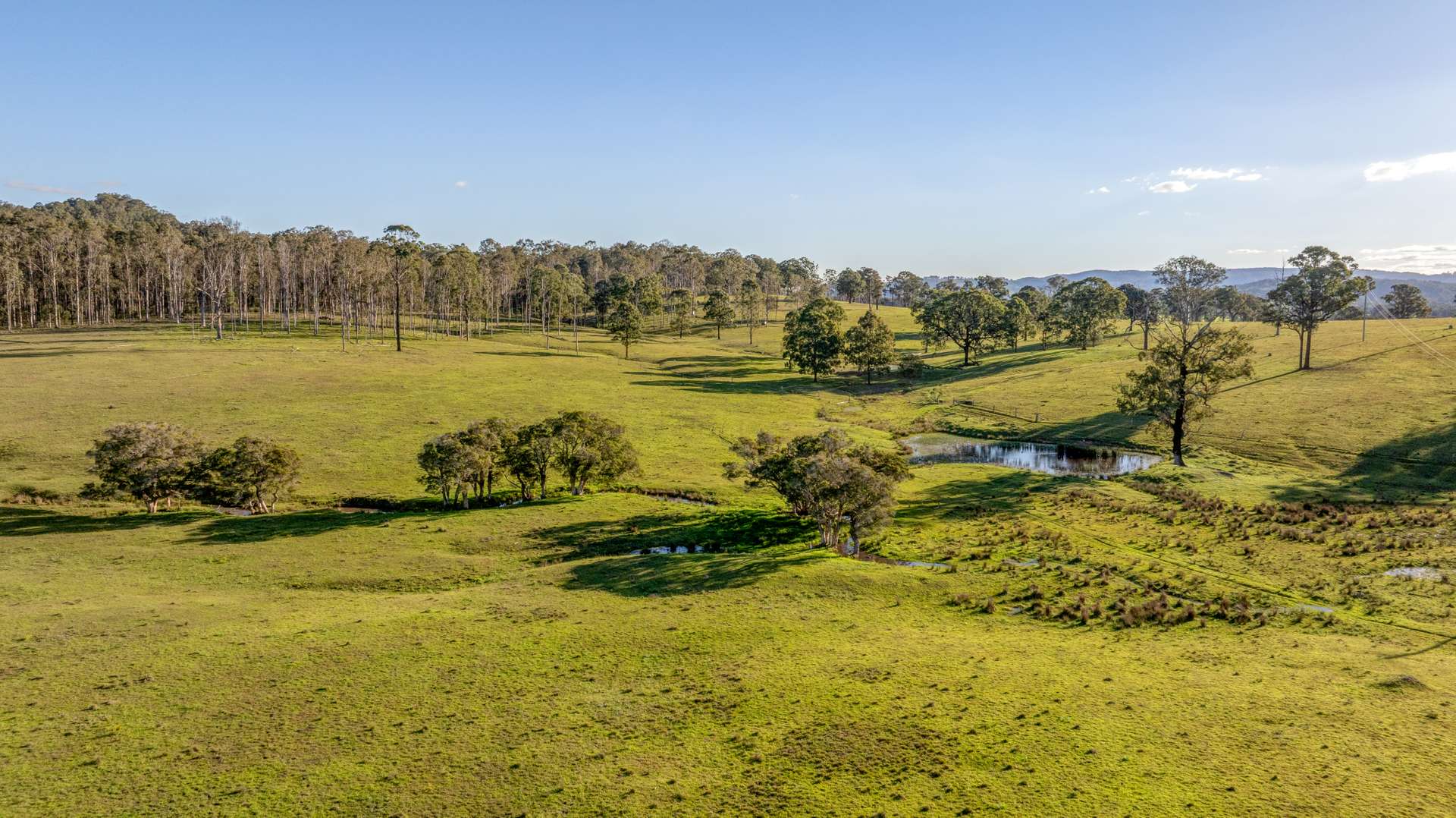 3949 Clarence Town Road, Dungog For Sale by Farmbuy.com - image 14