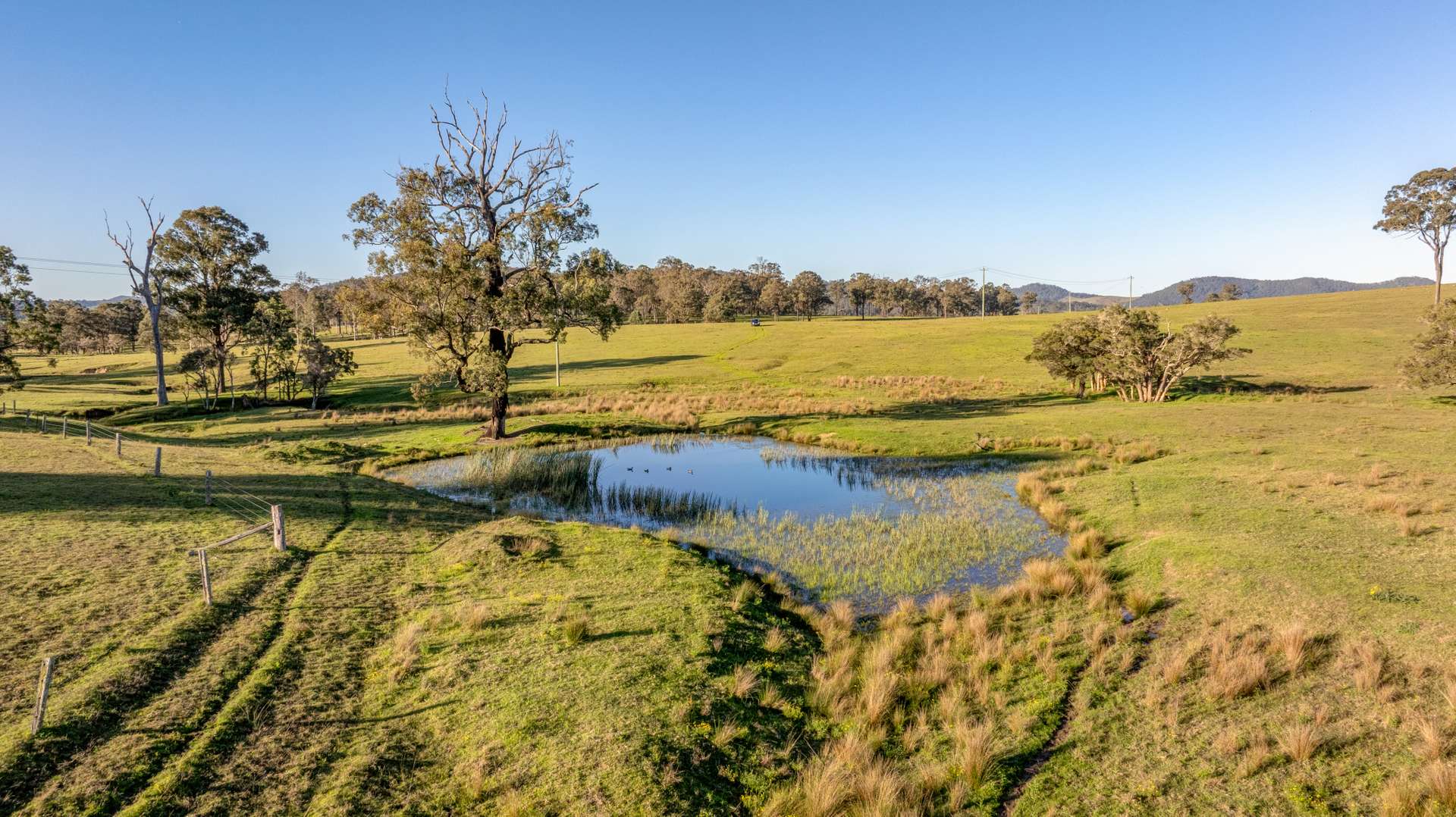 3949 Clarence Town Road, Dungog For Sale by Farmbuy.com - image 17