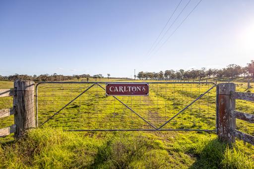 3949 Clarence Town Road, Dungog NSW 2420