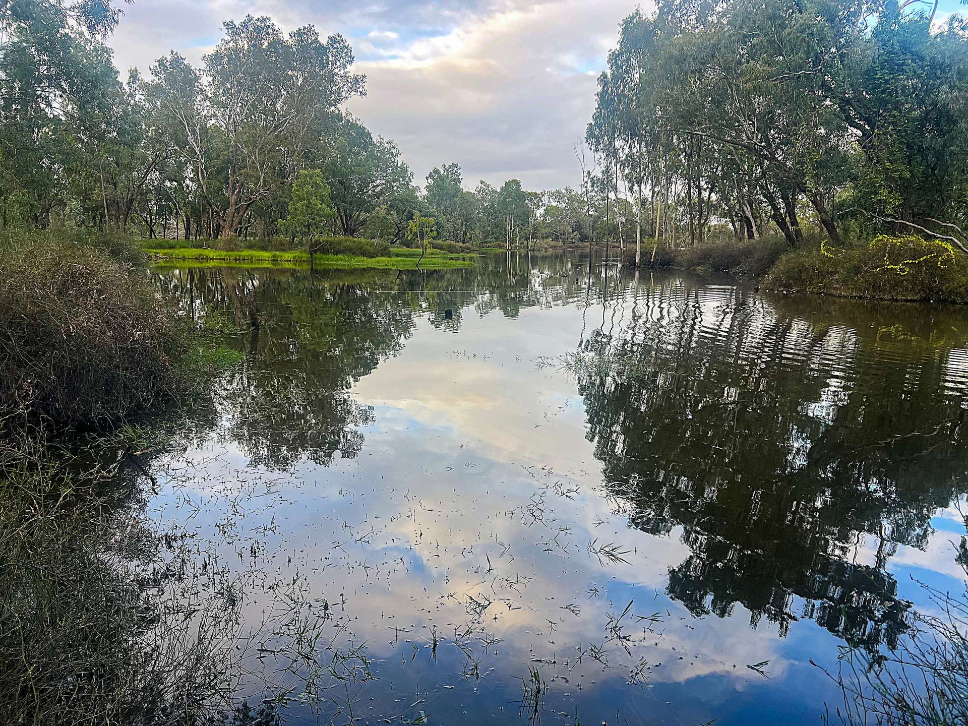 Dooney's Burnett Highway, Dixalea For Sale by Farmbuy.com - image 10