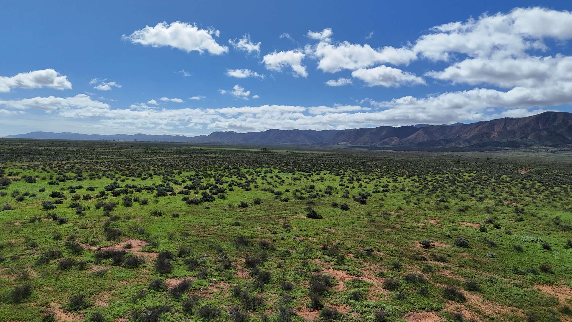 7983 Warrakimbo Rd, Emeroo For Sale by Farmbuy.com - image 7